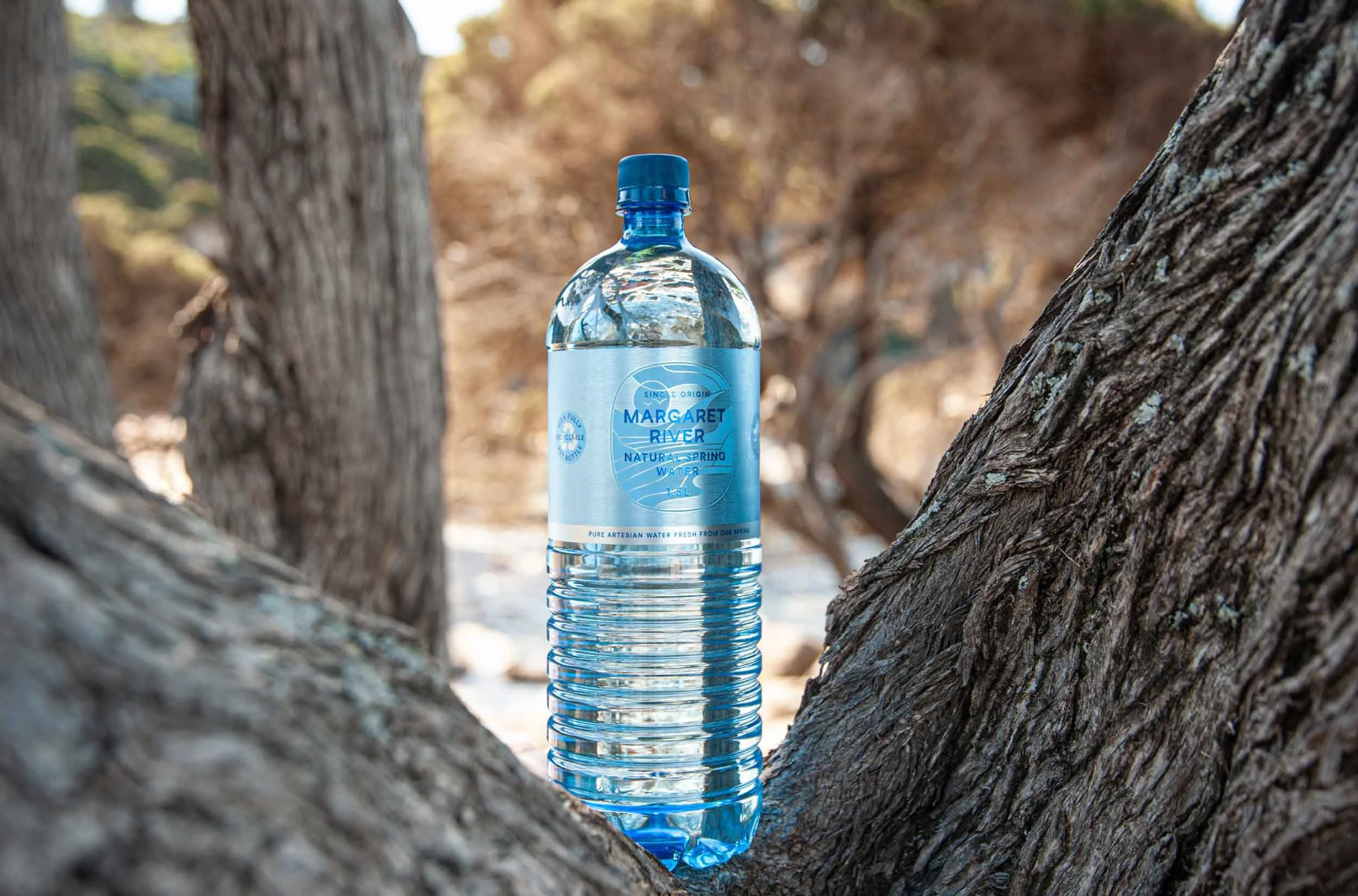 A 1.5 litre bottle of Margaret River Natural Spring Water sitting in the trunk of a tree