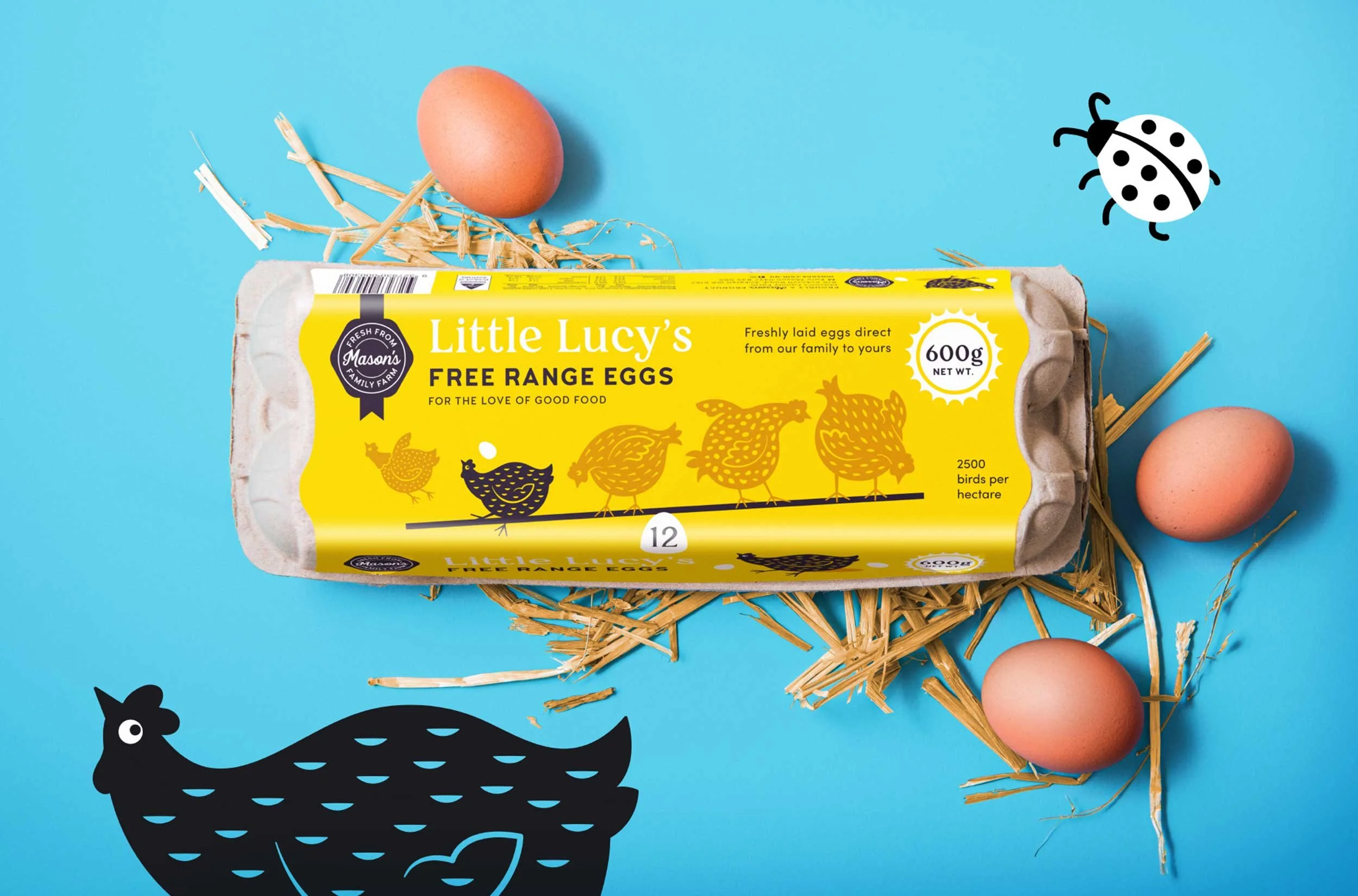A flay lay stylised photograph of the Little Lucy 600g eggs from Mason's Family Farm, surrounded by illustrations, straw and eggs