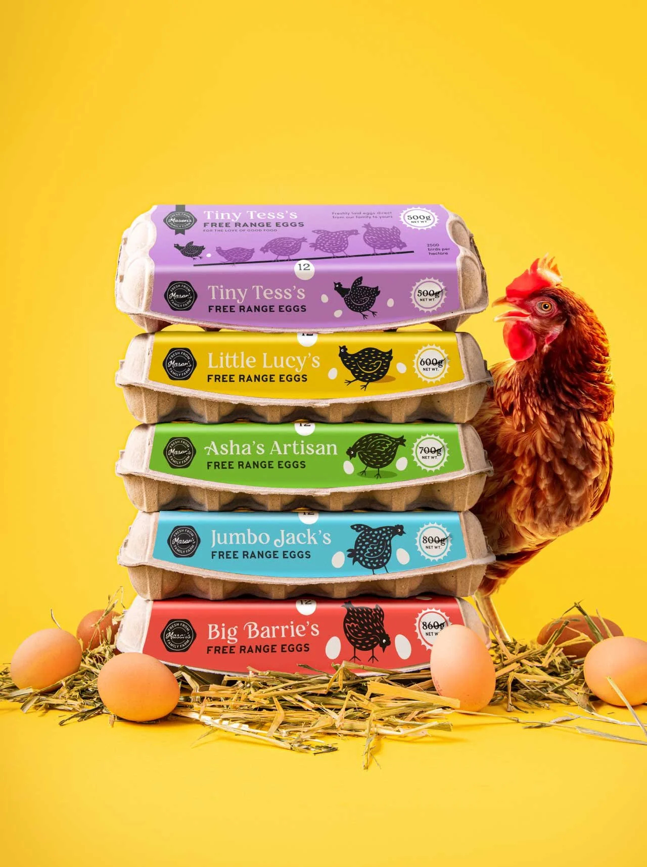 A stylised photograph of the different Mason's Family Farm Egg cartons, sitting on hay, surrounded by eggs and a chicken in the background