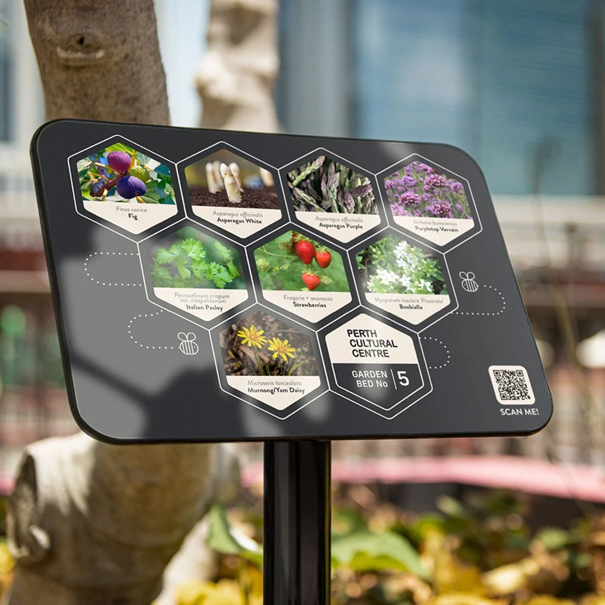 Our interpretive signage design for Perth Cultural Centre
