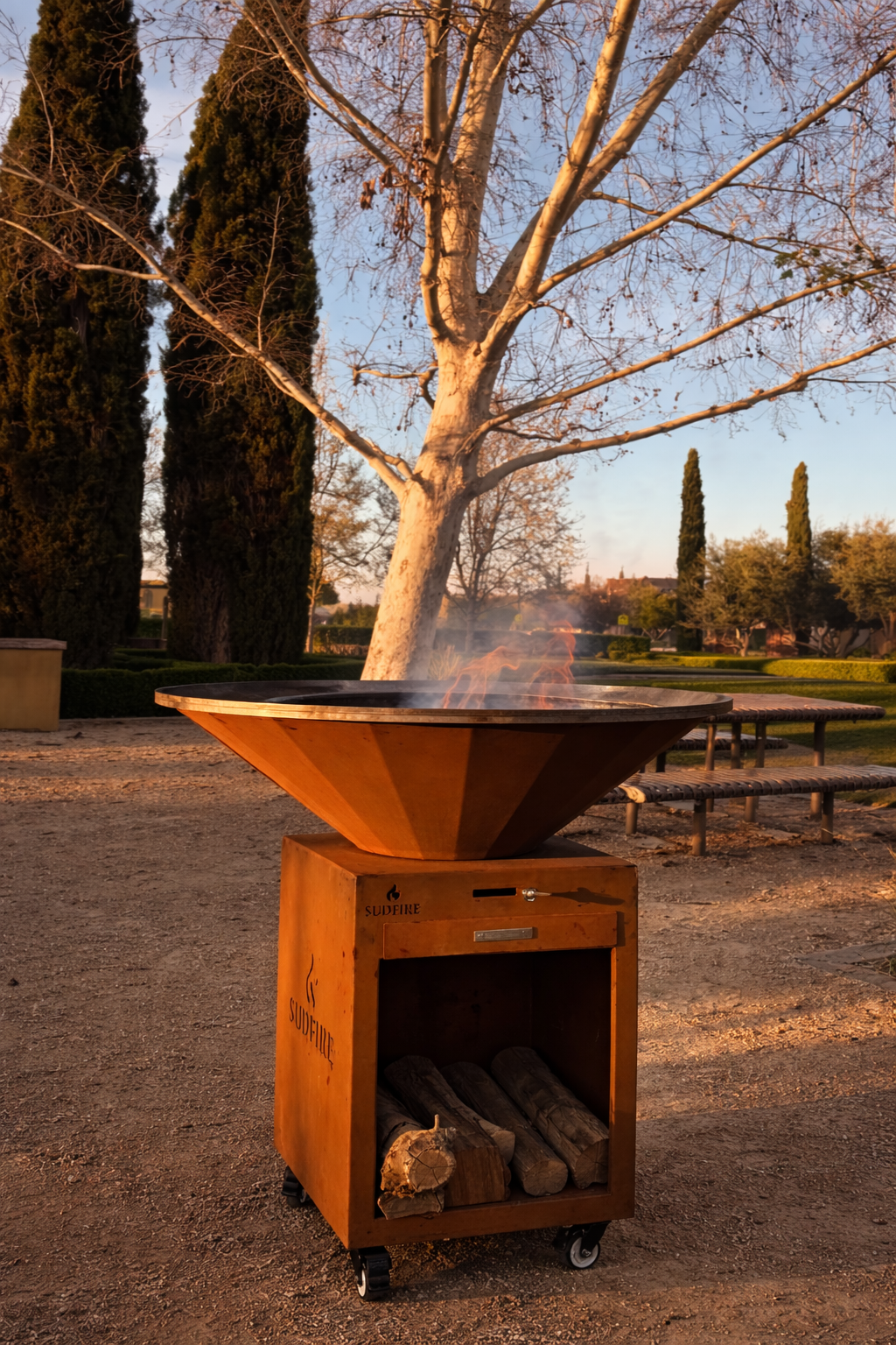 A fire pit with logs underneath is burning outdoors in a park at sunset, with trees and benches in the background.