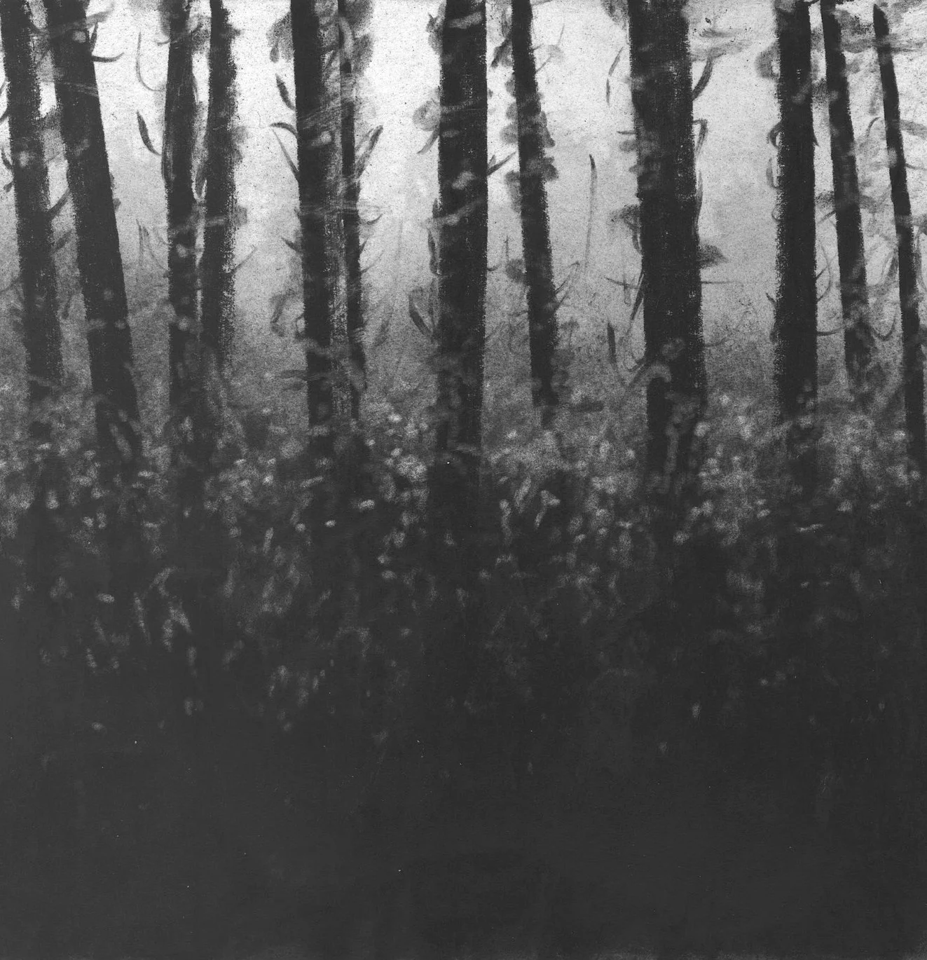 Clearing, 5" x 5"  charcoal on paper