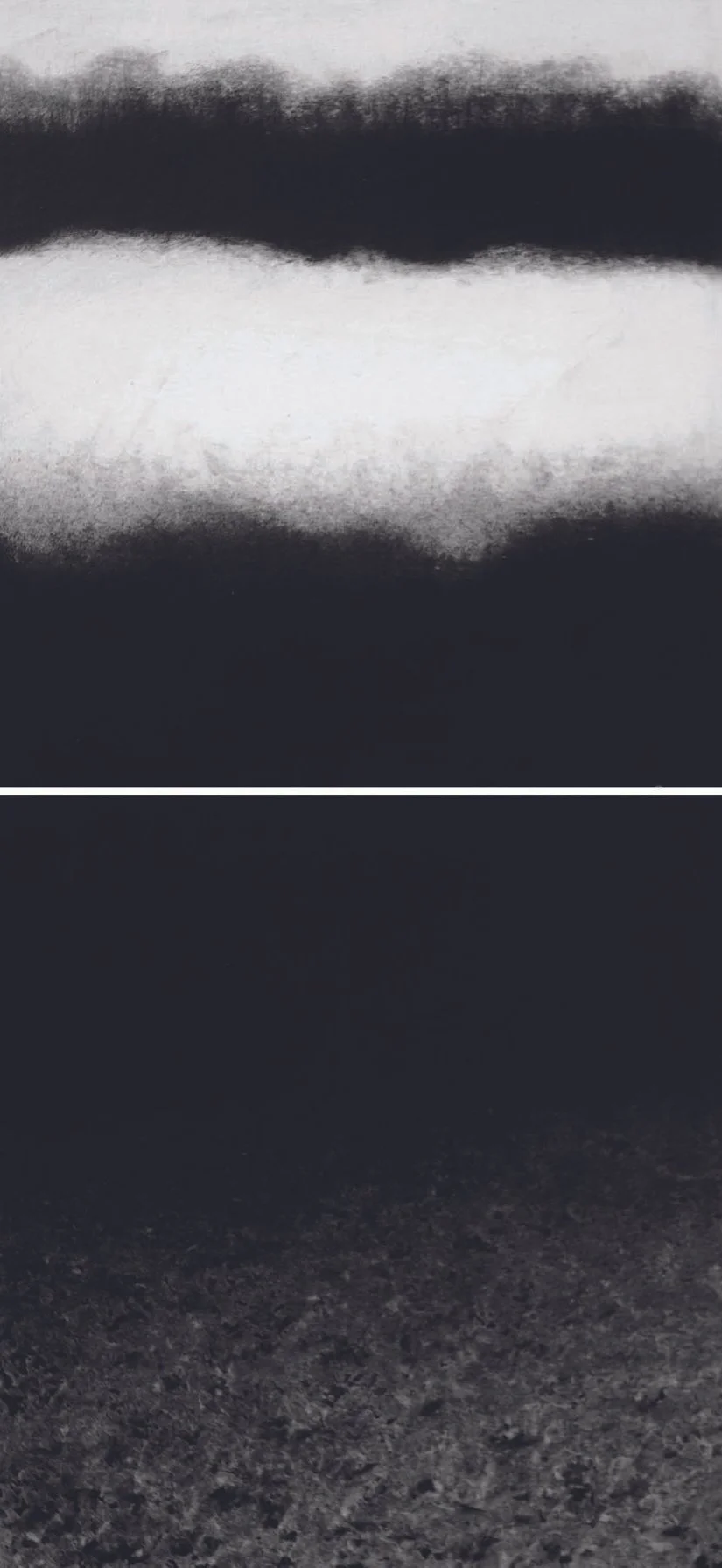 Winter Pool I, 22" x 11"  charcoal on paper