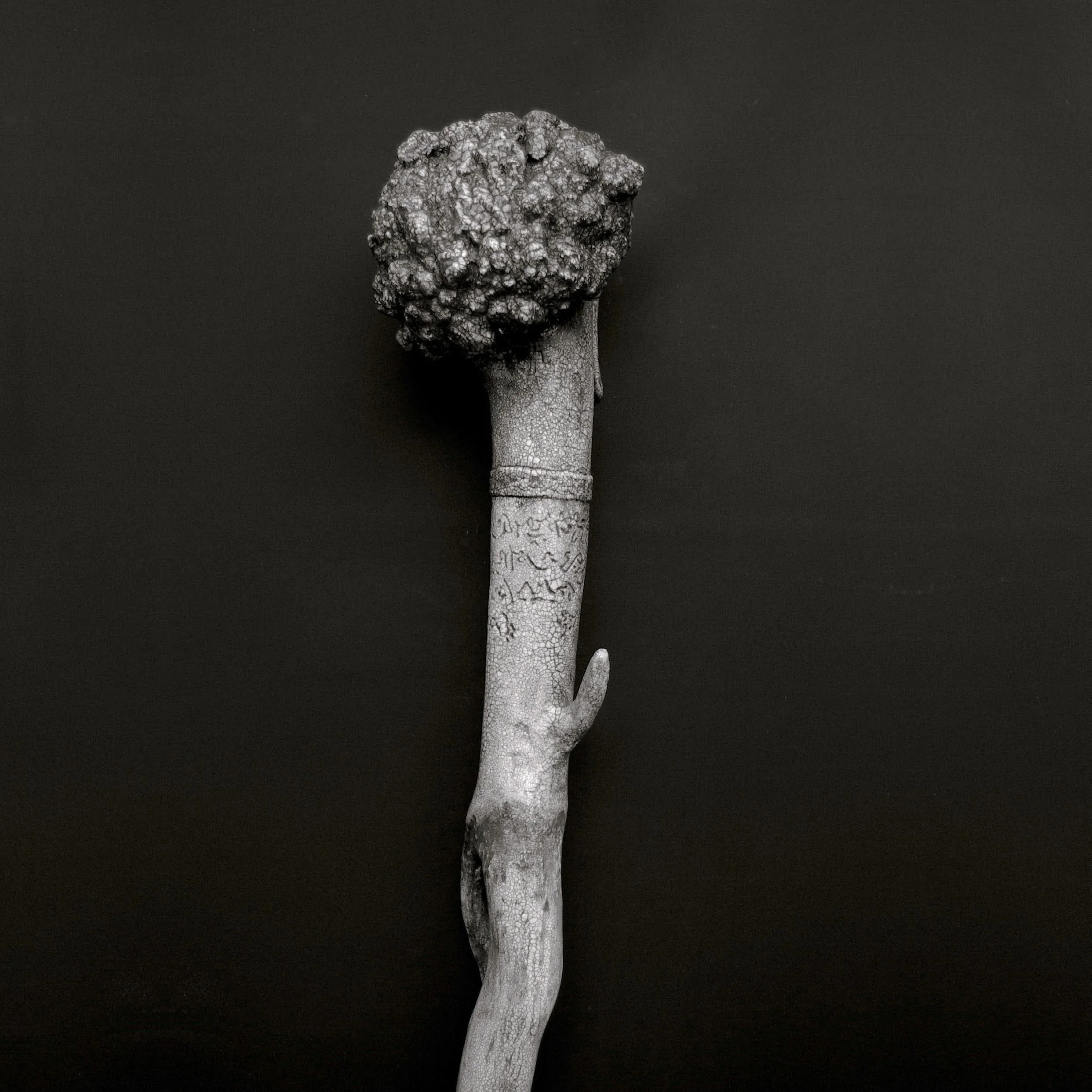 Pathing Stick #30, (detail) approximately 72",
mixed media on wood