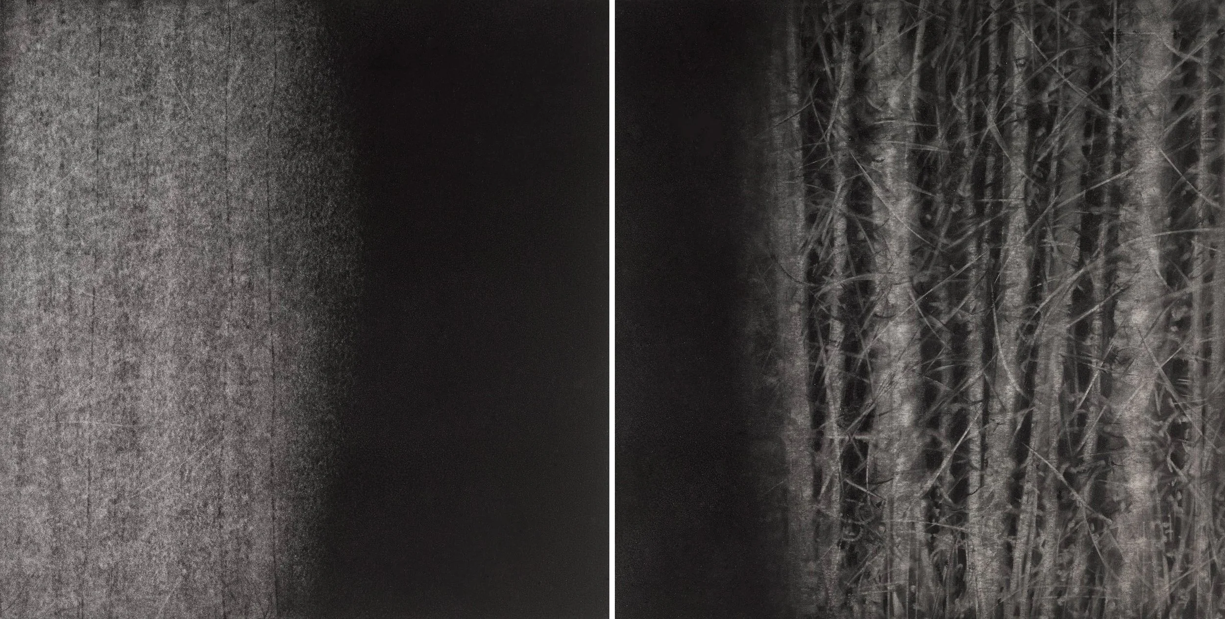 Diptych: Point of View #8, charcoal on paper, Two panels each 8" x 8"
