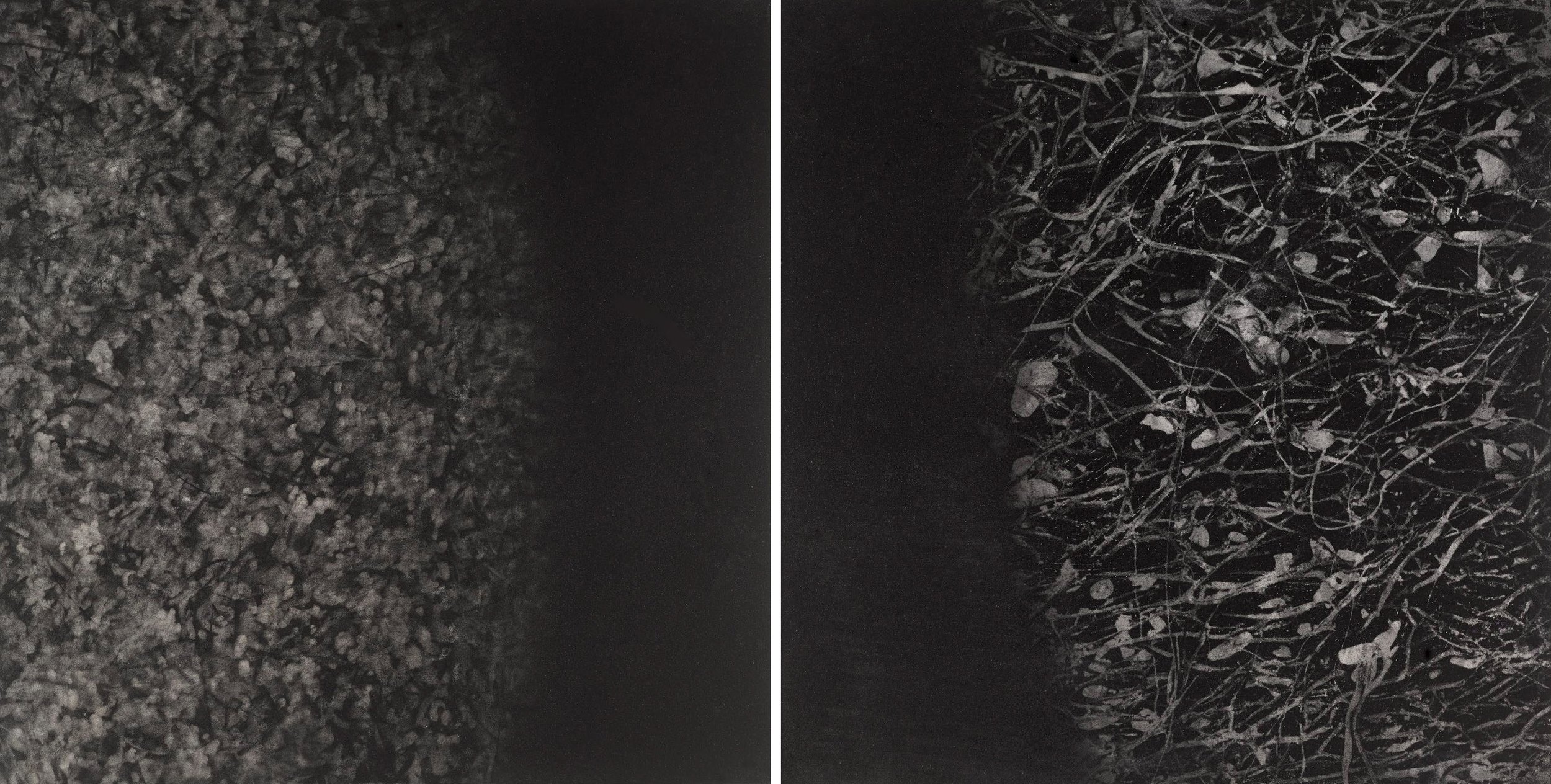 Diptych: Point of View #6, charcoal on paper, Two panels each 8" x 8"