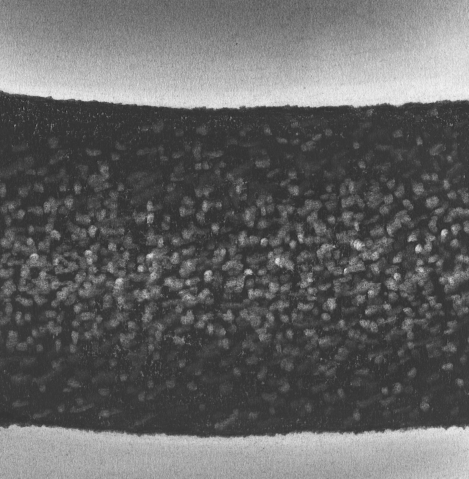 Burpee Brook, 5" x 5"  charcoal on paper