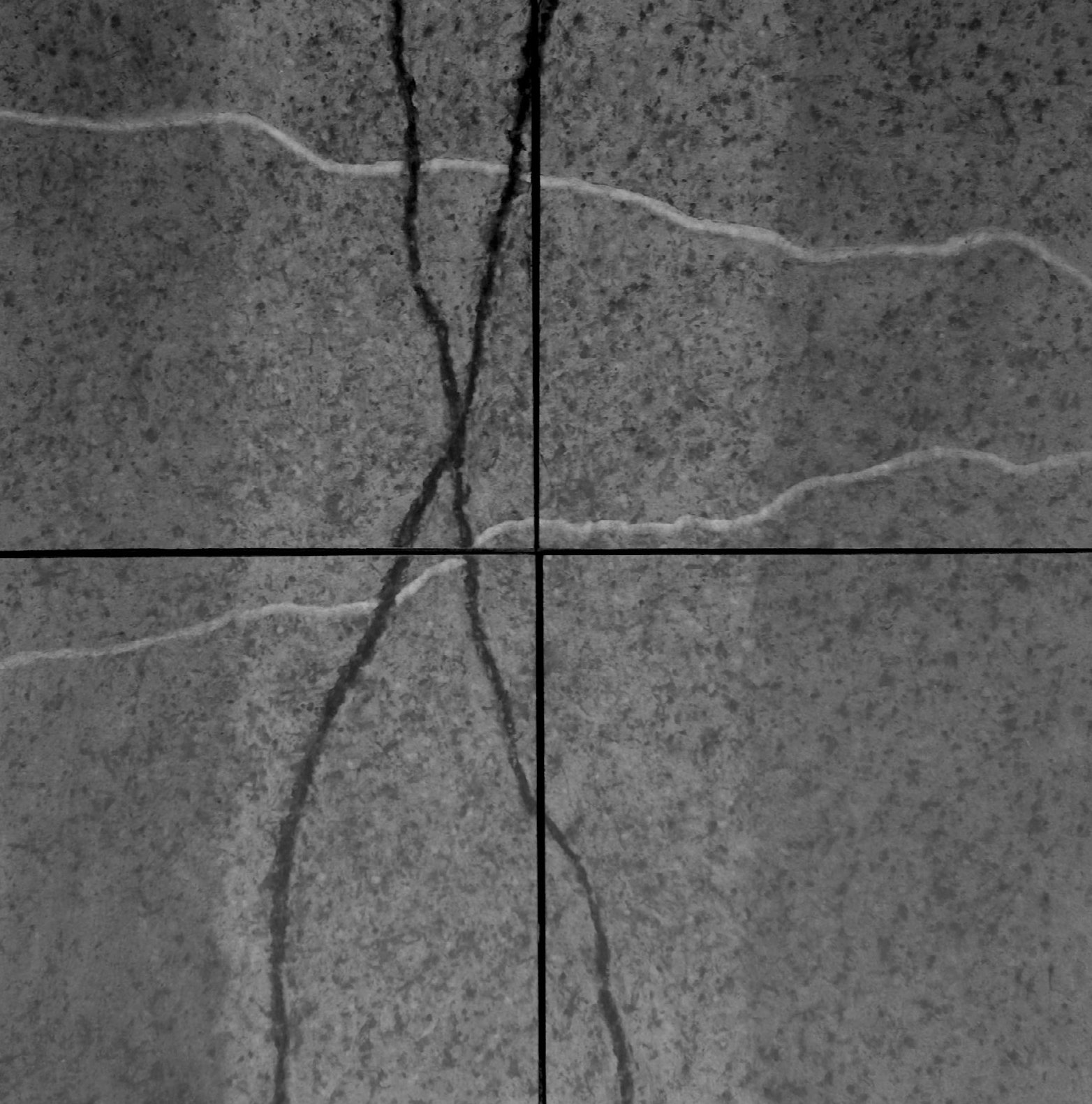 Fragments II, four 8" x 8" panels  charcoal on paper