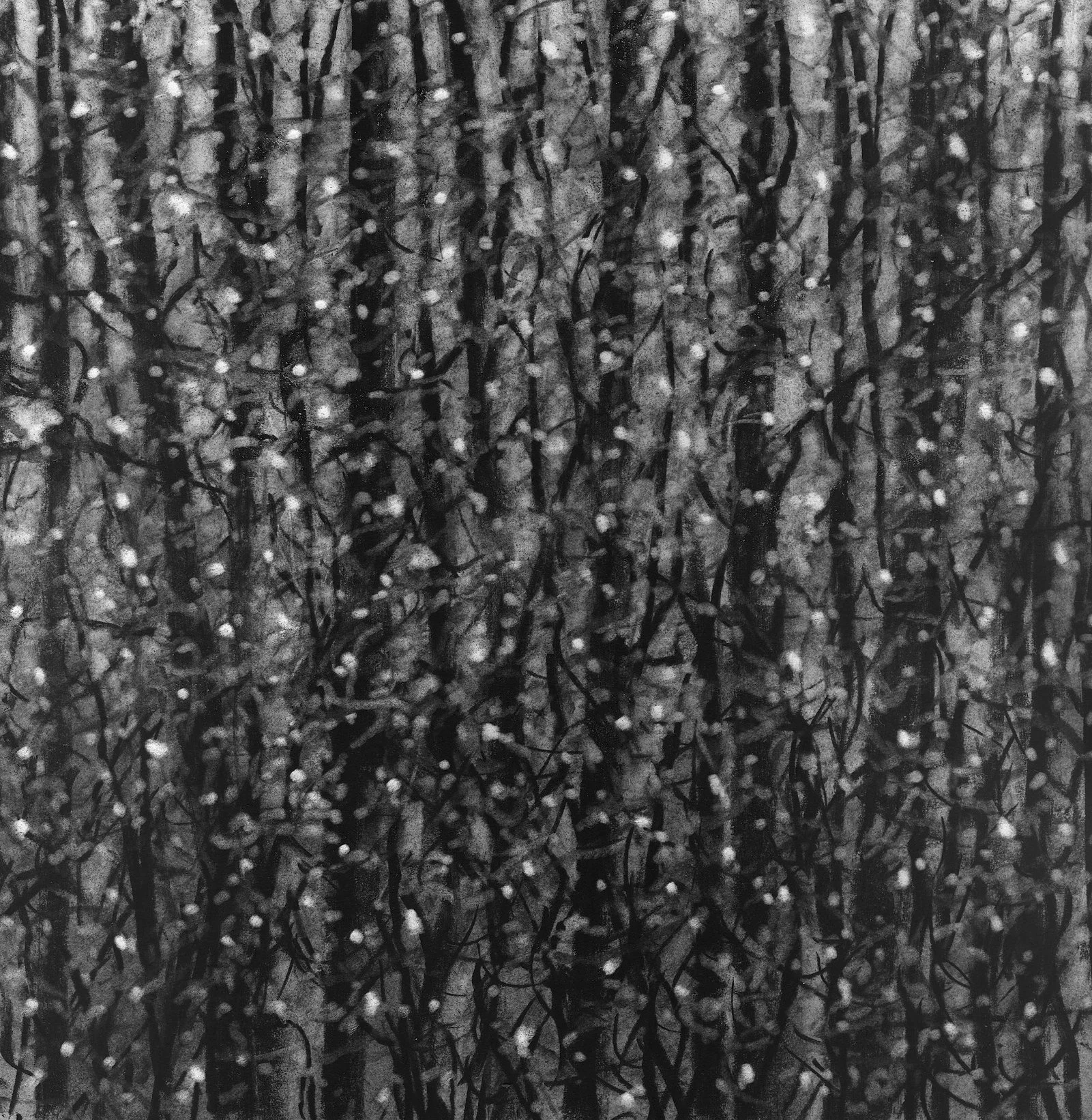 Flurries, 8" x 8"  charcoal on paper