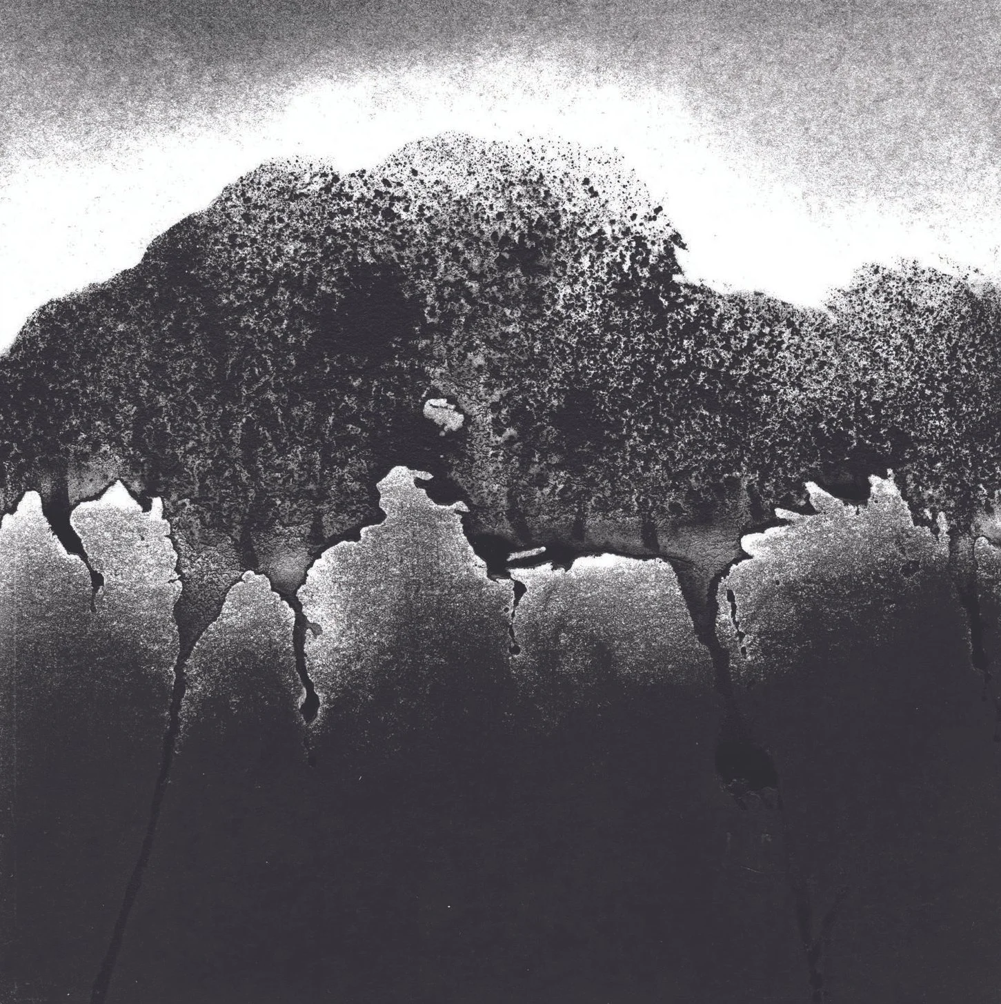 Grove, 5" x 5"  charcoal on paper