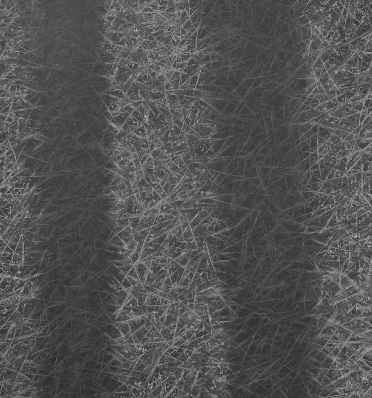 Shadows V, 16" x 15" charcoal on paper