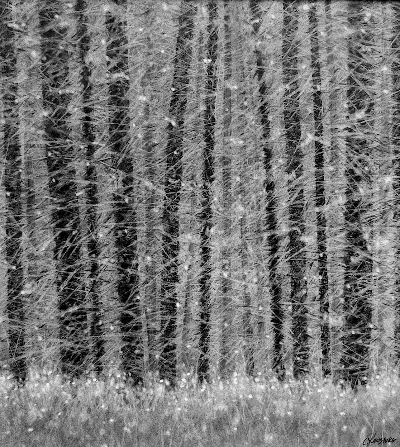 Cold Front II, 12" x 11"  charcoal on paper