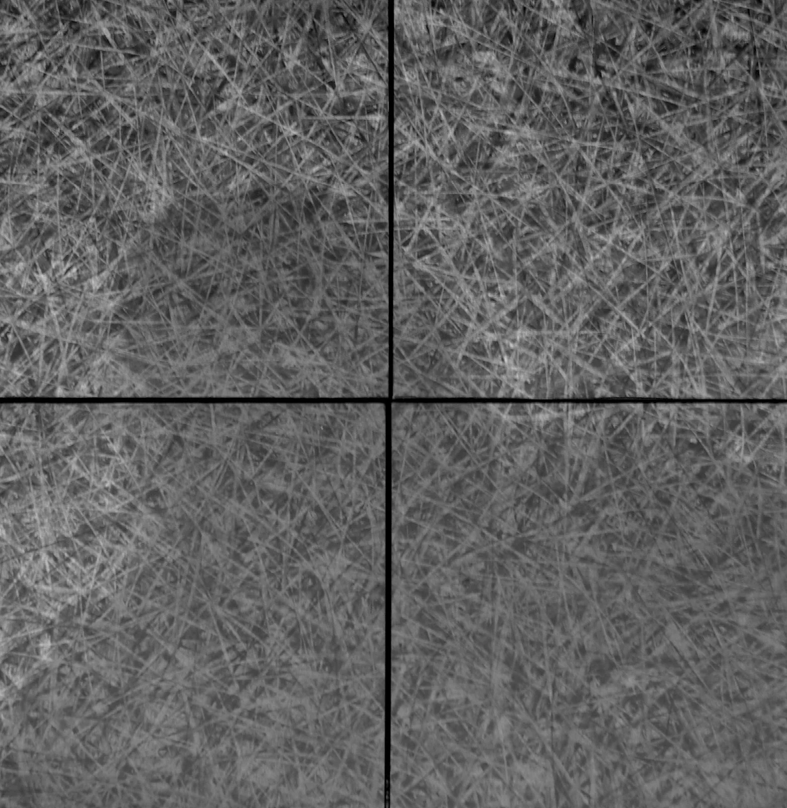 Fragments I, four 8" x 8" panels, charcoal on paper