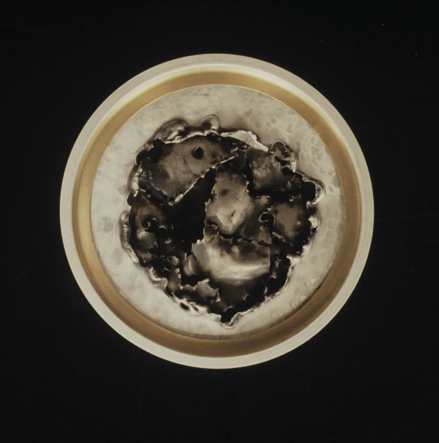 Wheel #1, 14 in., steel, brass, and aluminum