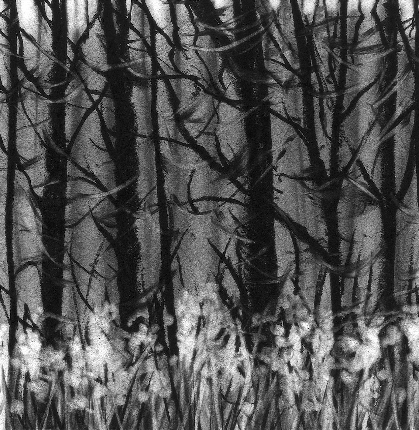 Deep Woods, 5" x 5 " charcoal on paper