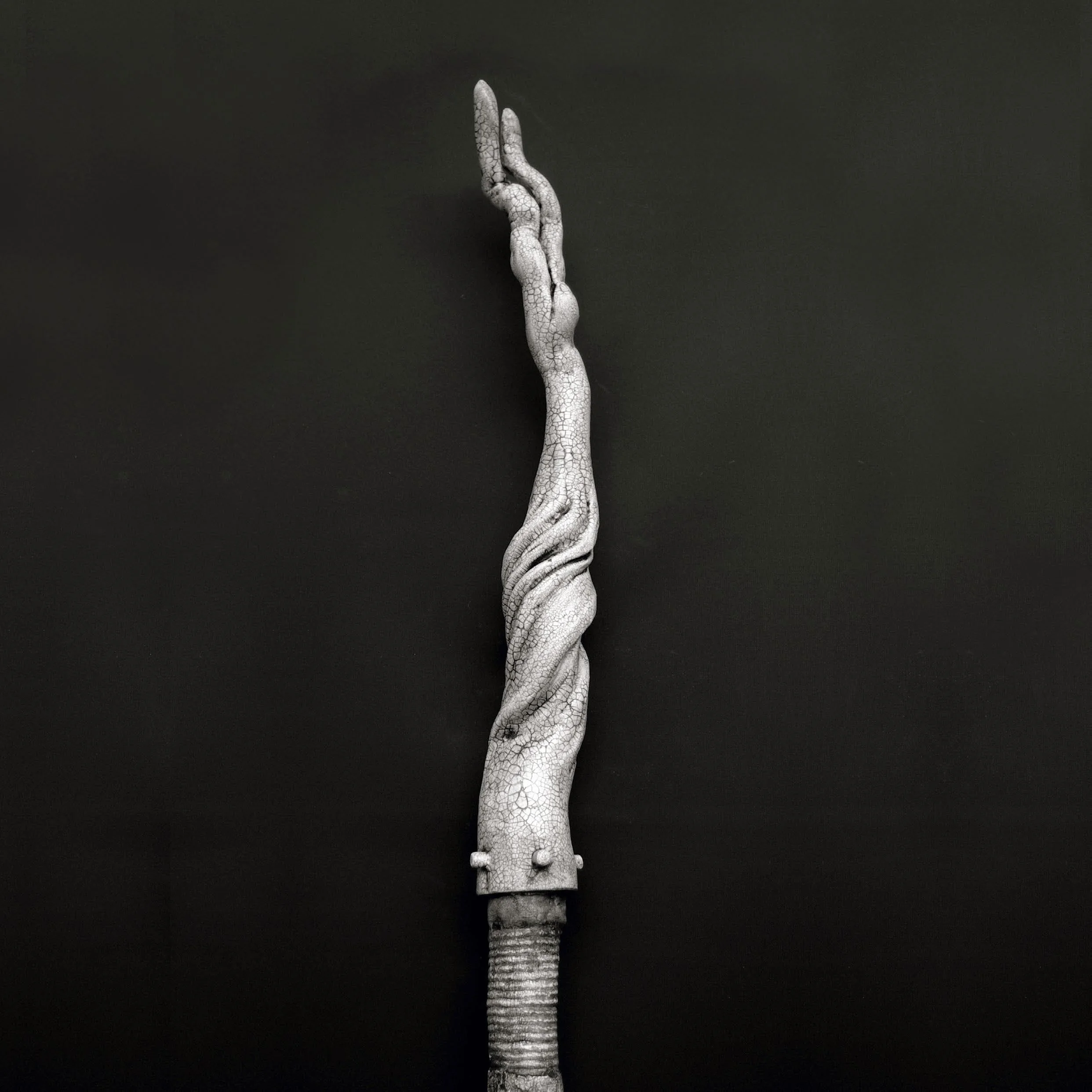 Pathing Stick #29, (detail) approximately 72",
mixed media on wood