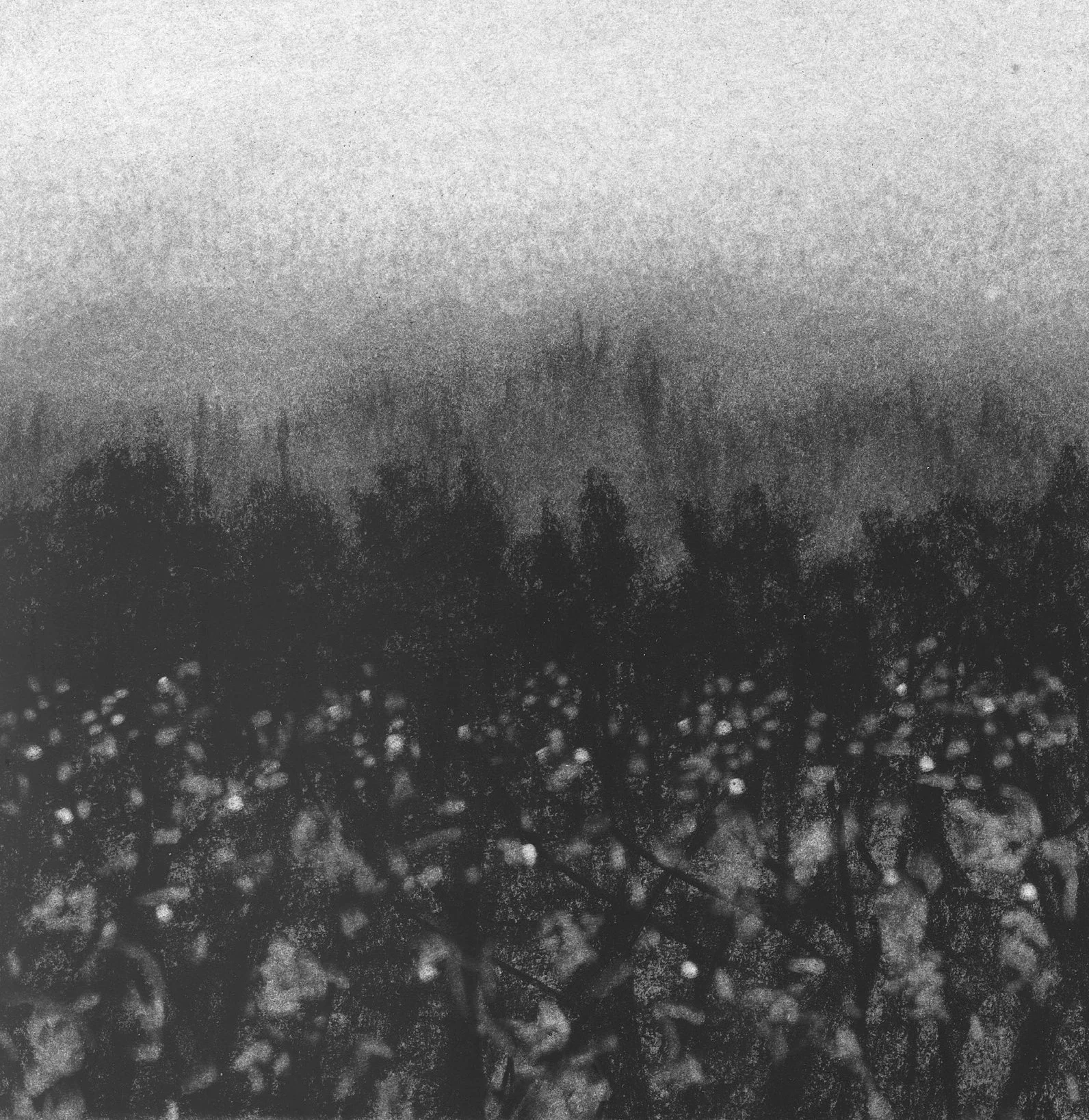 Nebuloso, 8" x 8" charcoal on paper