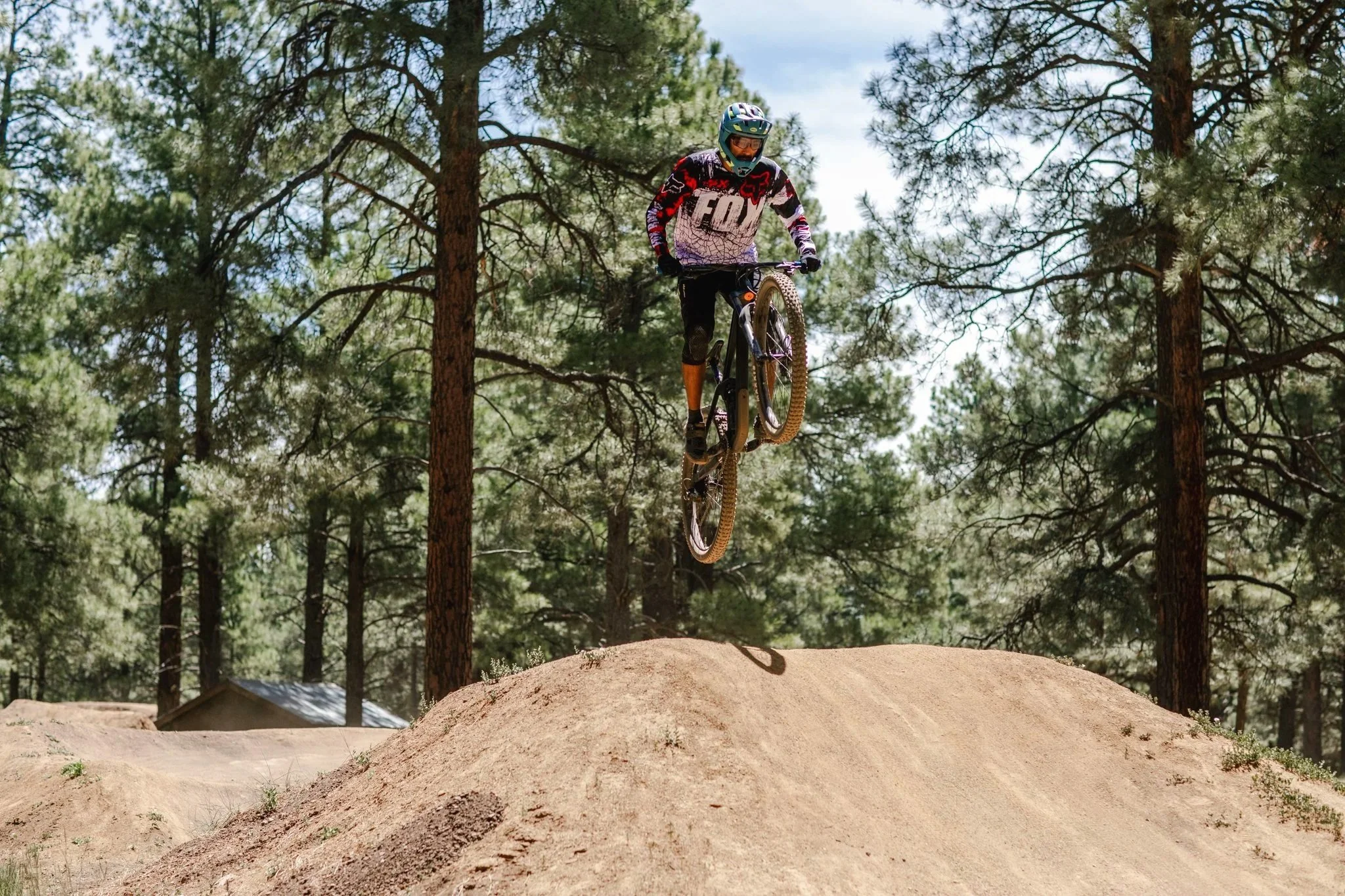 A mountain biker wearing a helmet and goggles performing a jump on a dirt trail in a forest with tall pine trees.