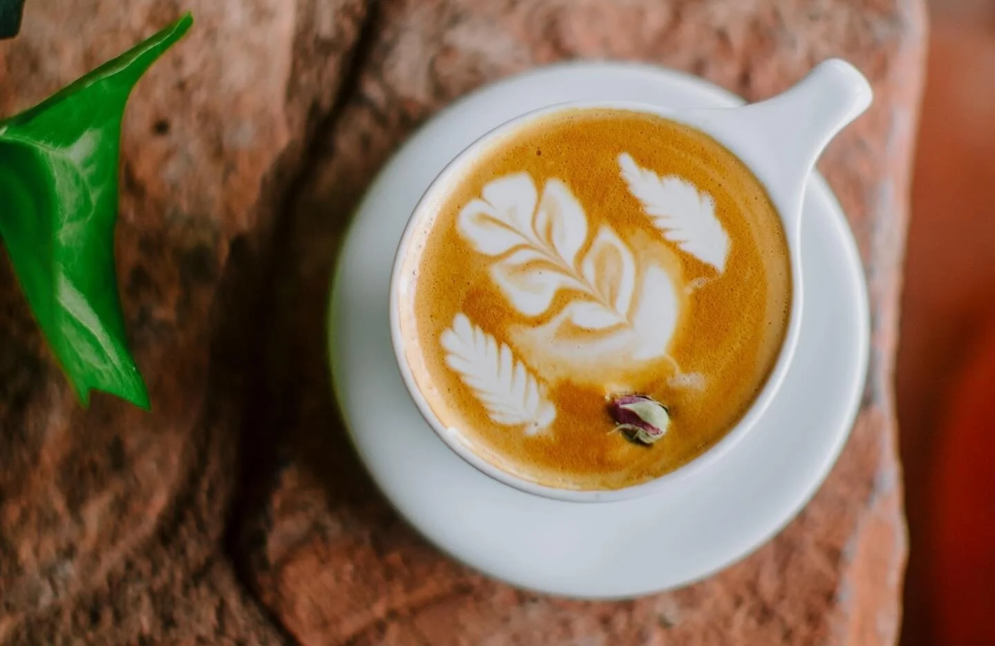 Sedona Coffee Shop, FreeForm Coffee, Sedona Craft Coffee, Best Sedona Latte,