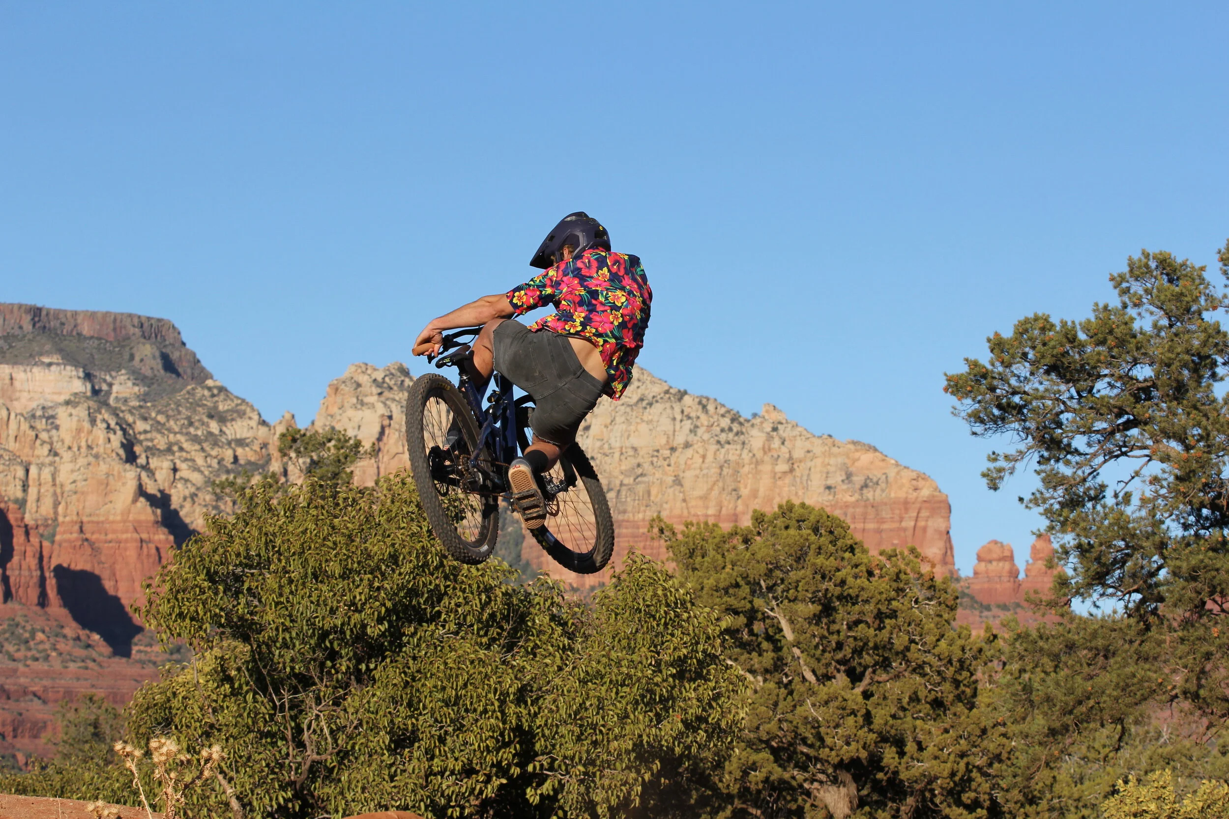 A person wearing a colorful shirt and helmet jumping on a mountain bike over trees with layered mountains in the background under a clear blue sky.