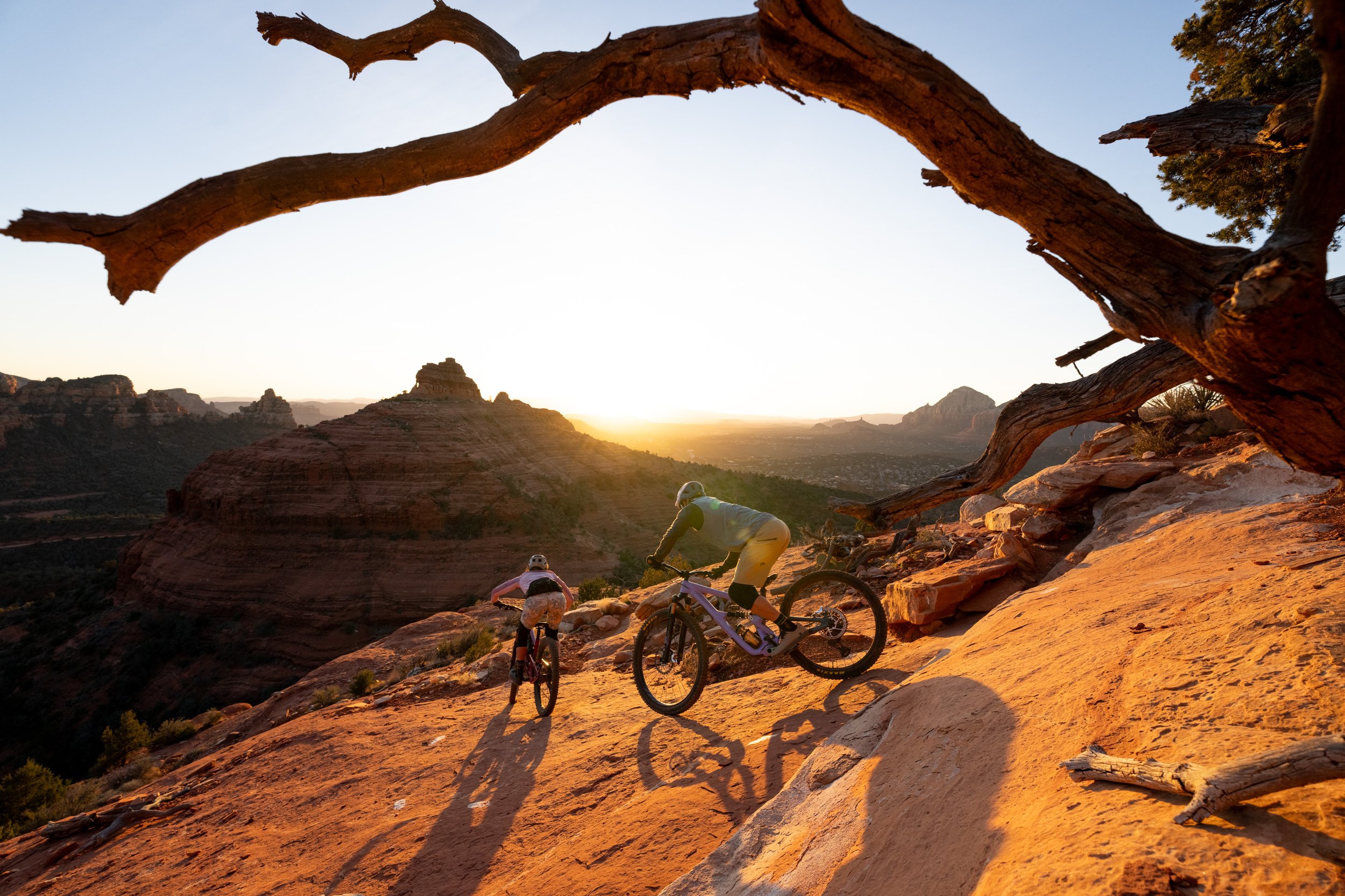 Two mountain bikers riding downhill on a rugged desert trail at sunset, with large weathered tree branches framing the scene and red sandstone formations in the background.
