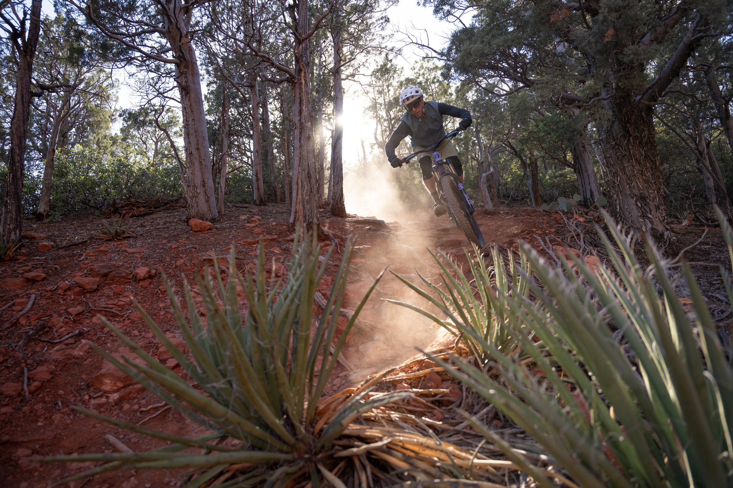 Person mountain biking on a dirt trail through a wooded forest, with sunlight shining through the trees.