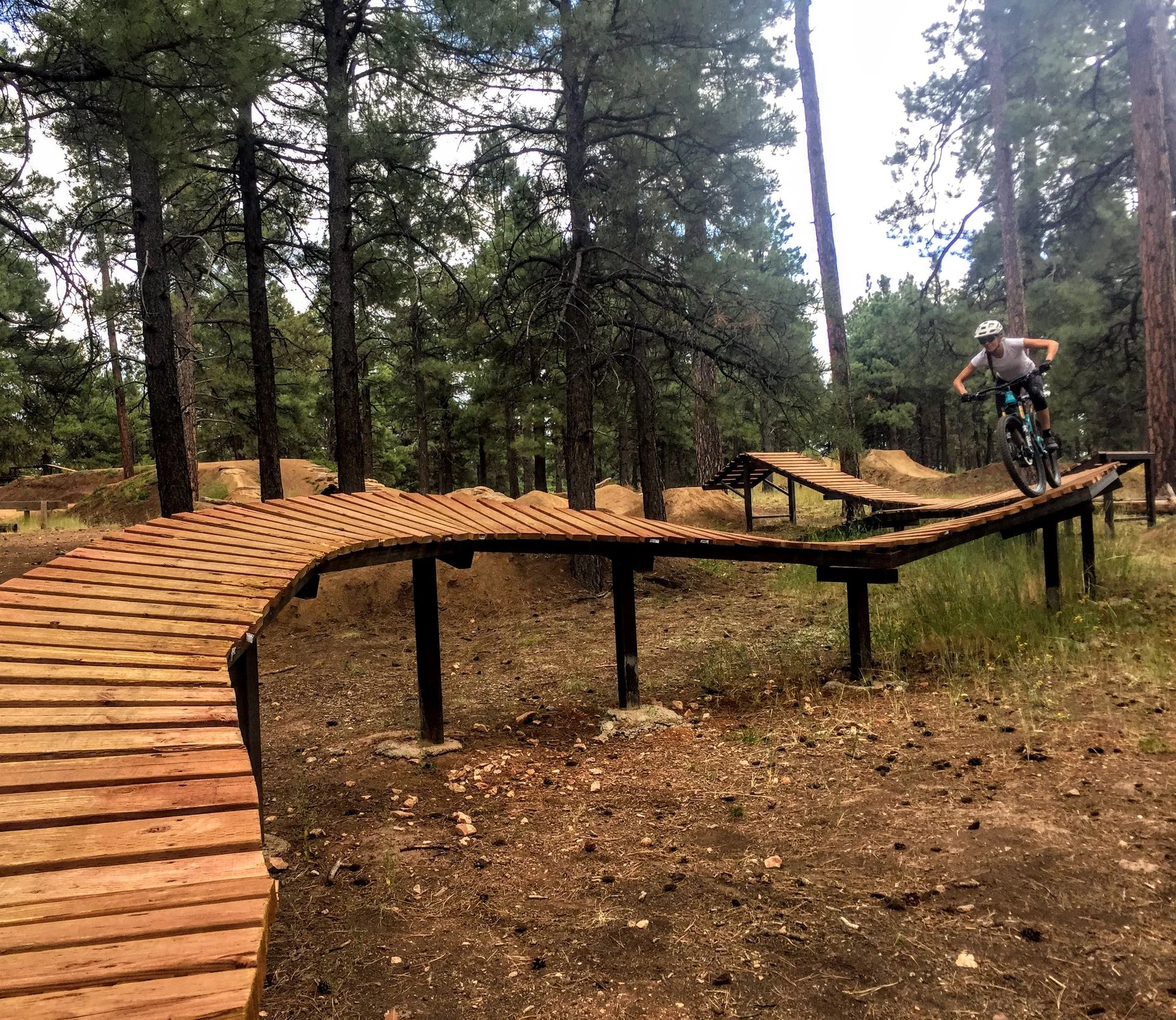 A person riding a mountain bike on a wooden trail in a forest with tall trees and green foliage.