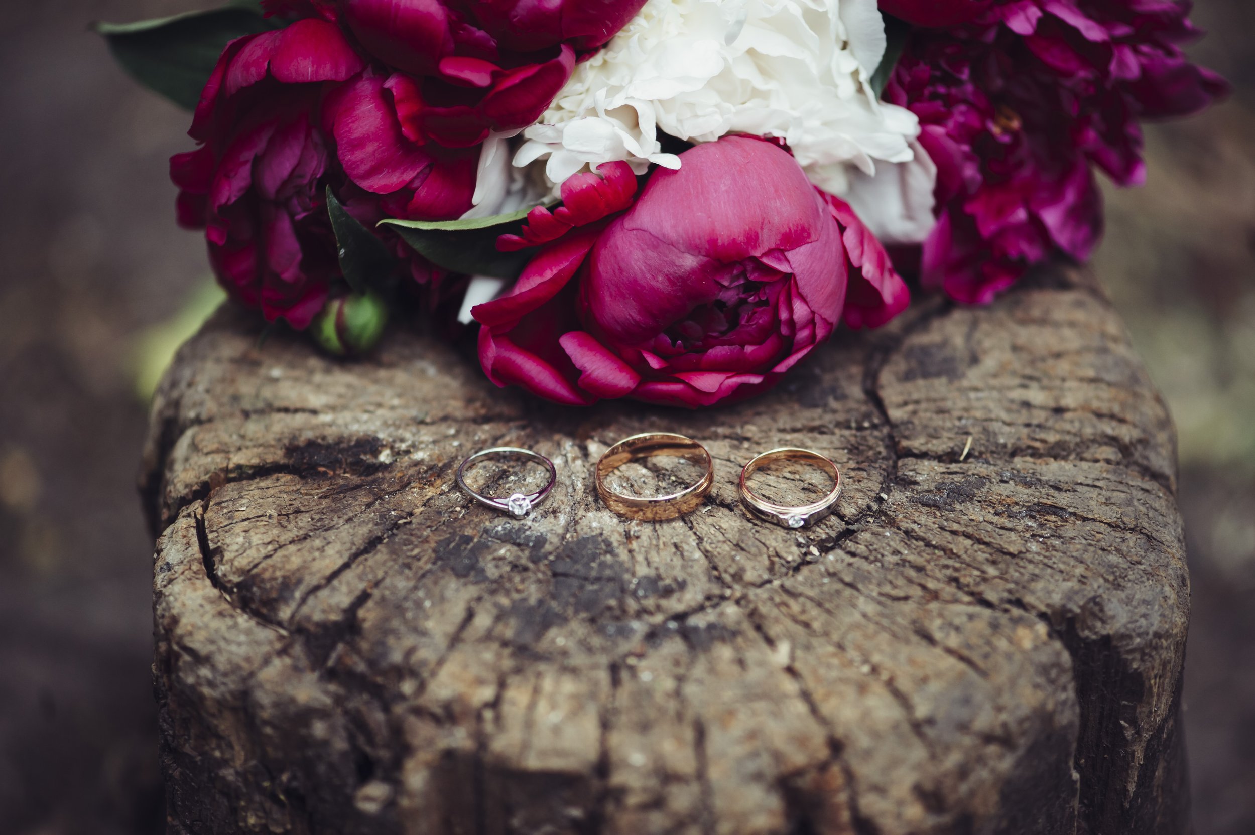 shutterstock_286109219.jpg