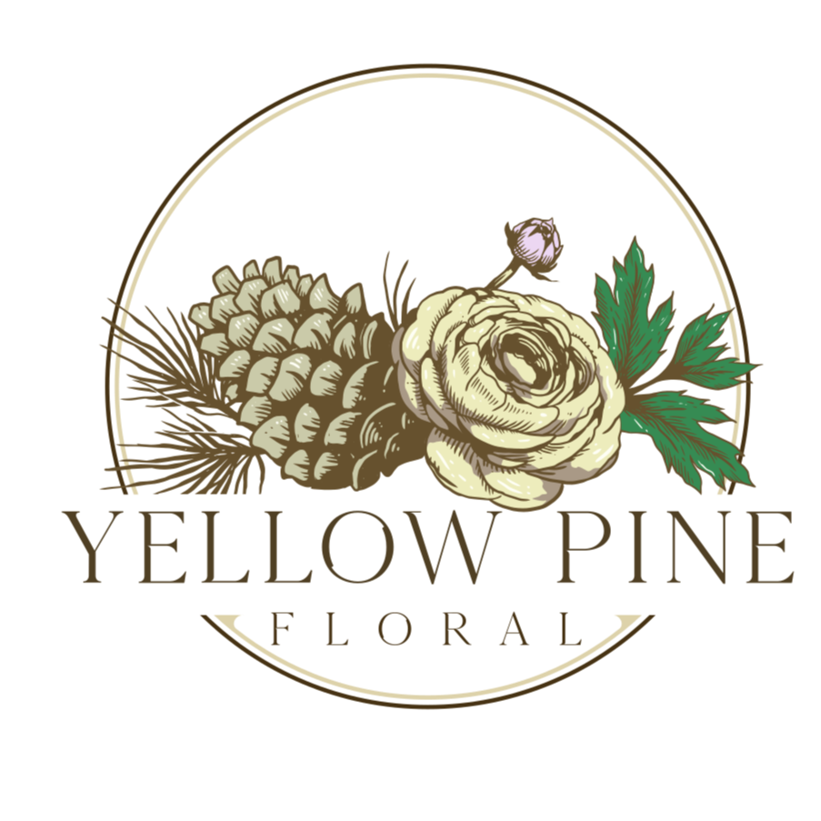 Illustration of a pine cone, a white flower, and green leaves inside a circular frame with a yellow background.
