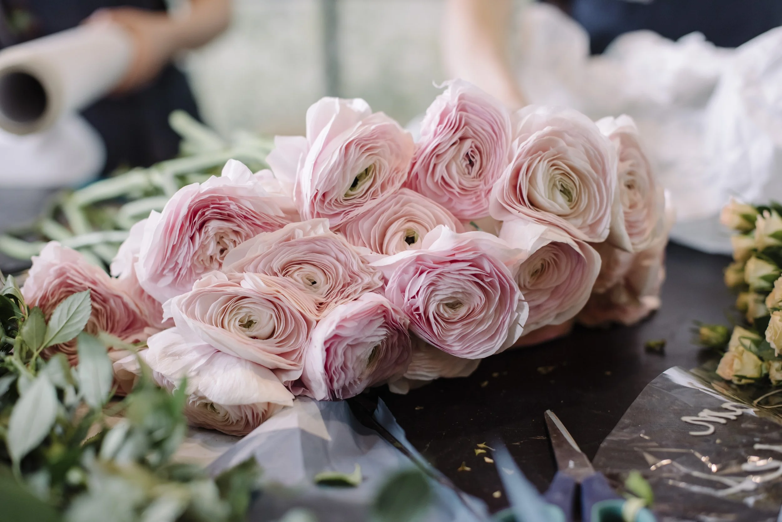 shutterstock_624527153.jpg