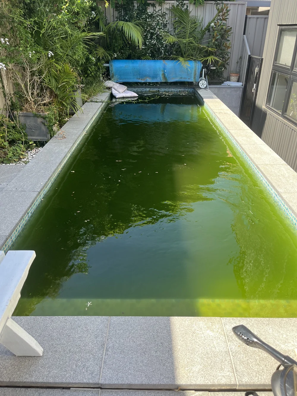 Pool before treatment by Sunshine Coast Pool Patrol