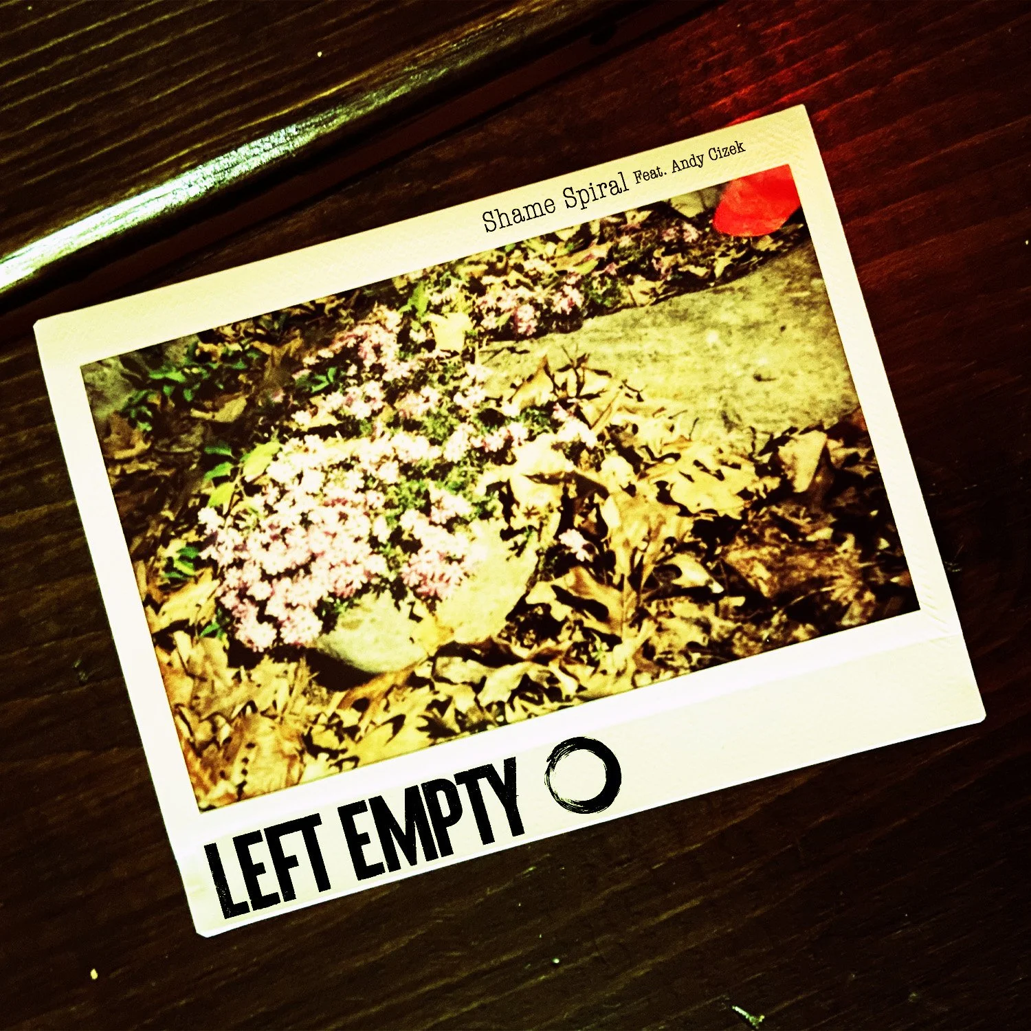 A photograph of a printed album cover for the song "Shame Spiral" featuring Andy Gizek. The cover features a photo of fallen leaves and small pink flowers between some rocks and dirt, with text at the top and bottom of the cover.