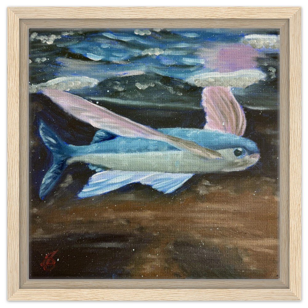 Flying Fish Framed Canvas Print 12