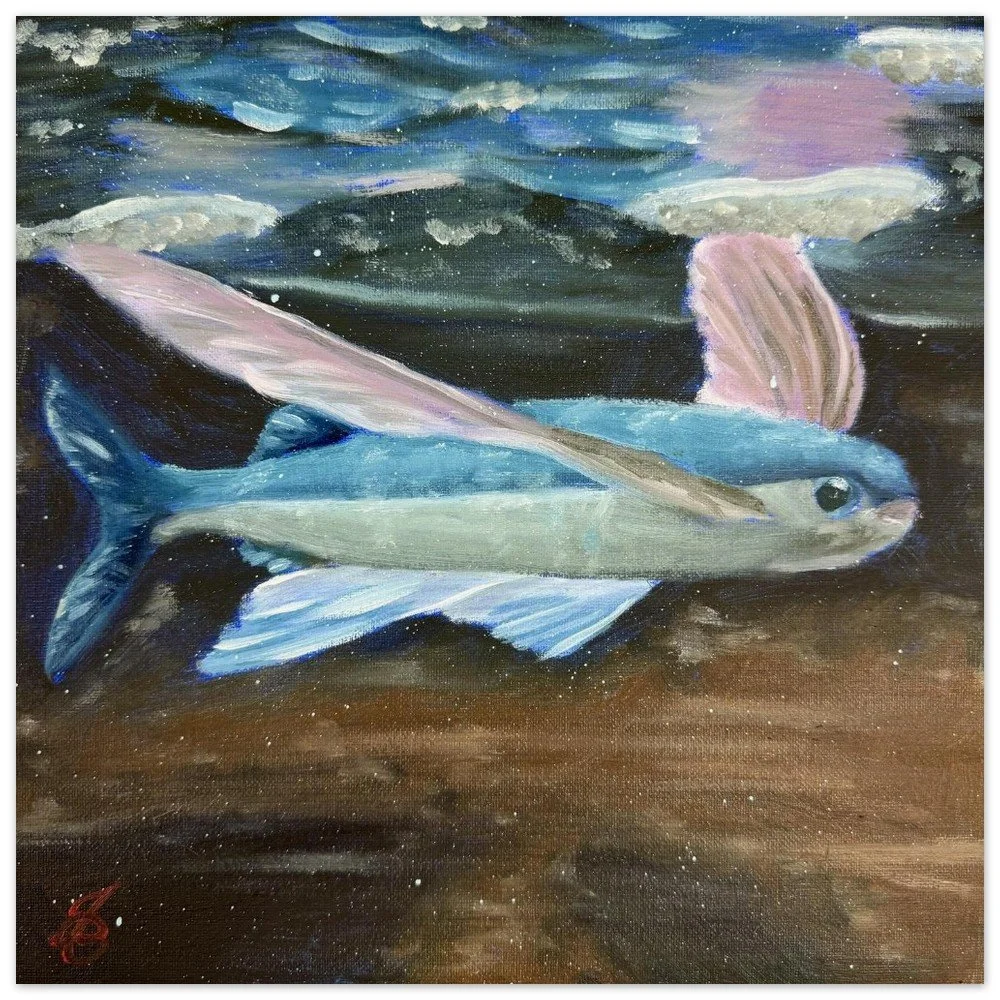 Flying Fish Museum-Quality Matte Paper Poster 12