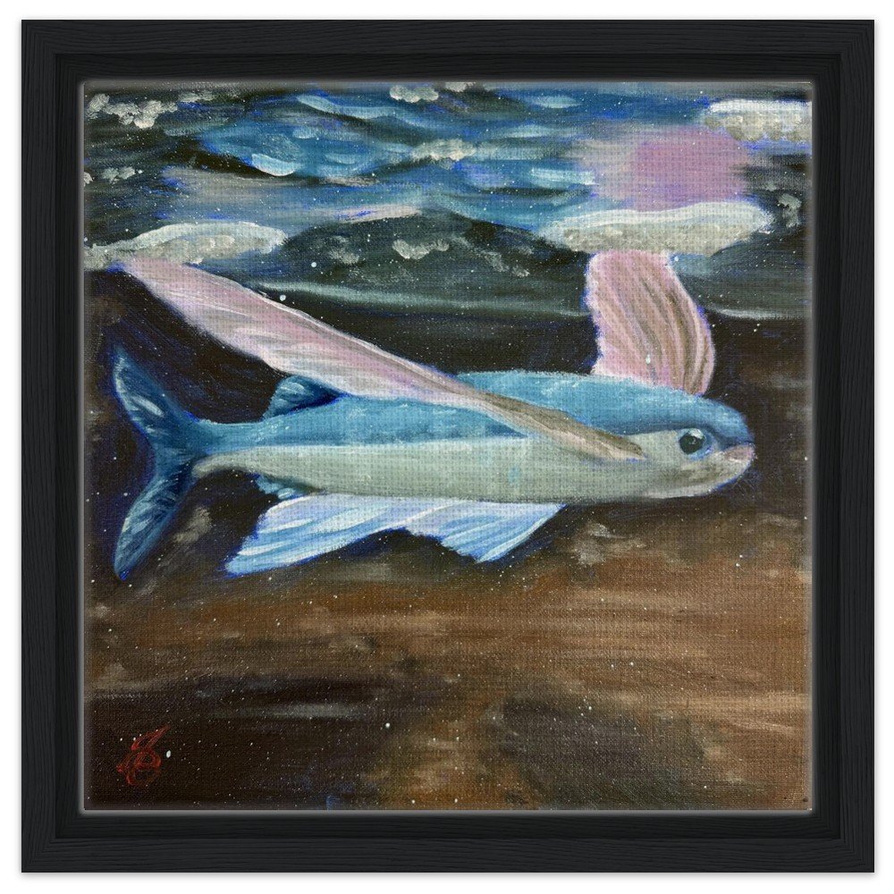 Flying Fish Framed Canvas Print 12