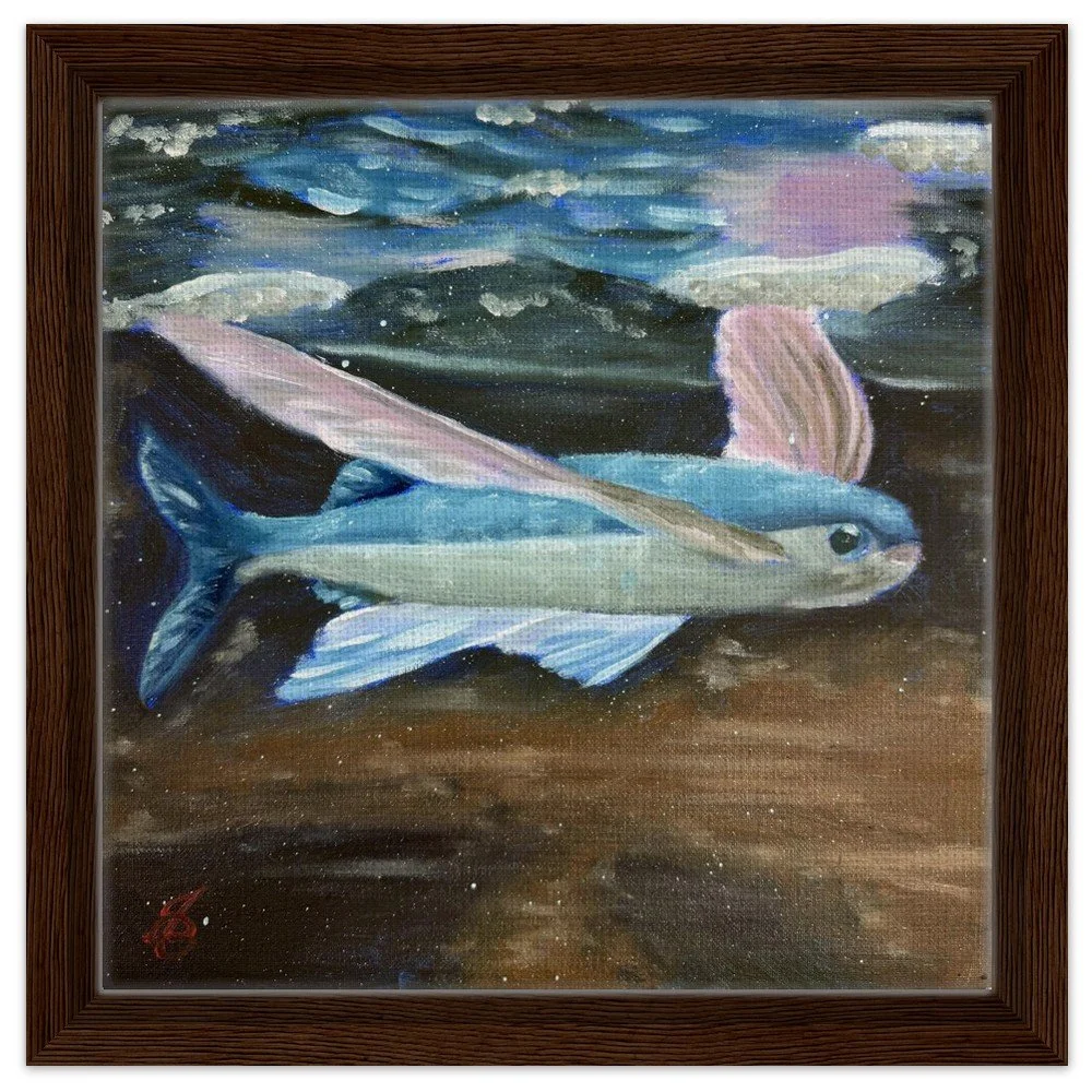 Flying Fish Framed Canvas Print 12