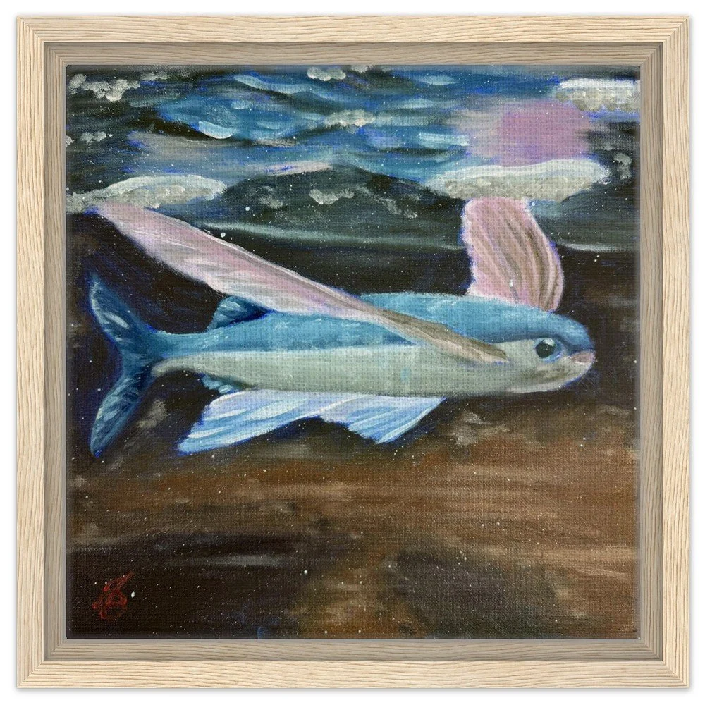 Flying Fish Framed Canvas Print 12