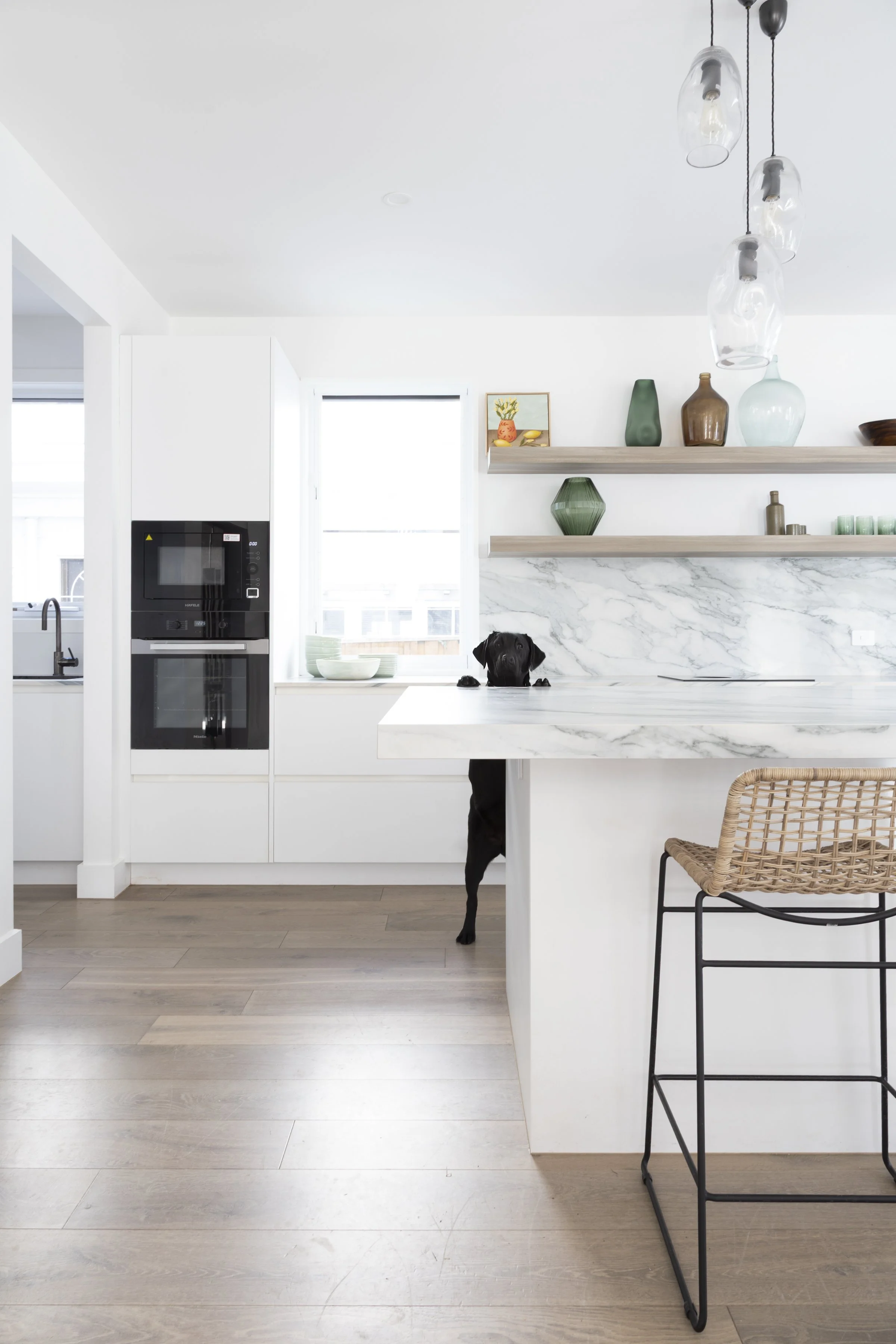 Wattle Crt Nth_Collaroy-40.jpg