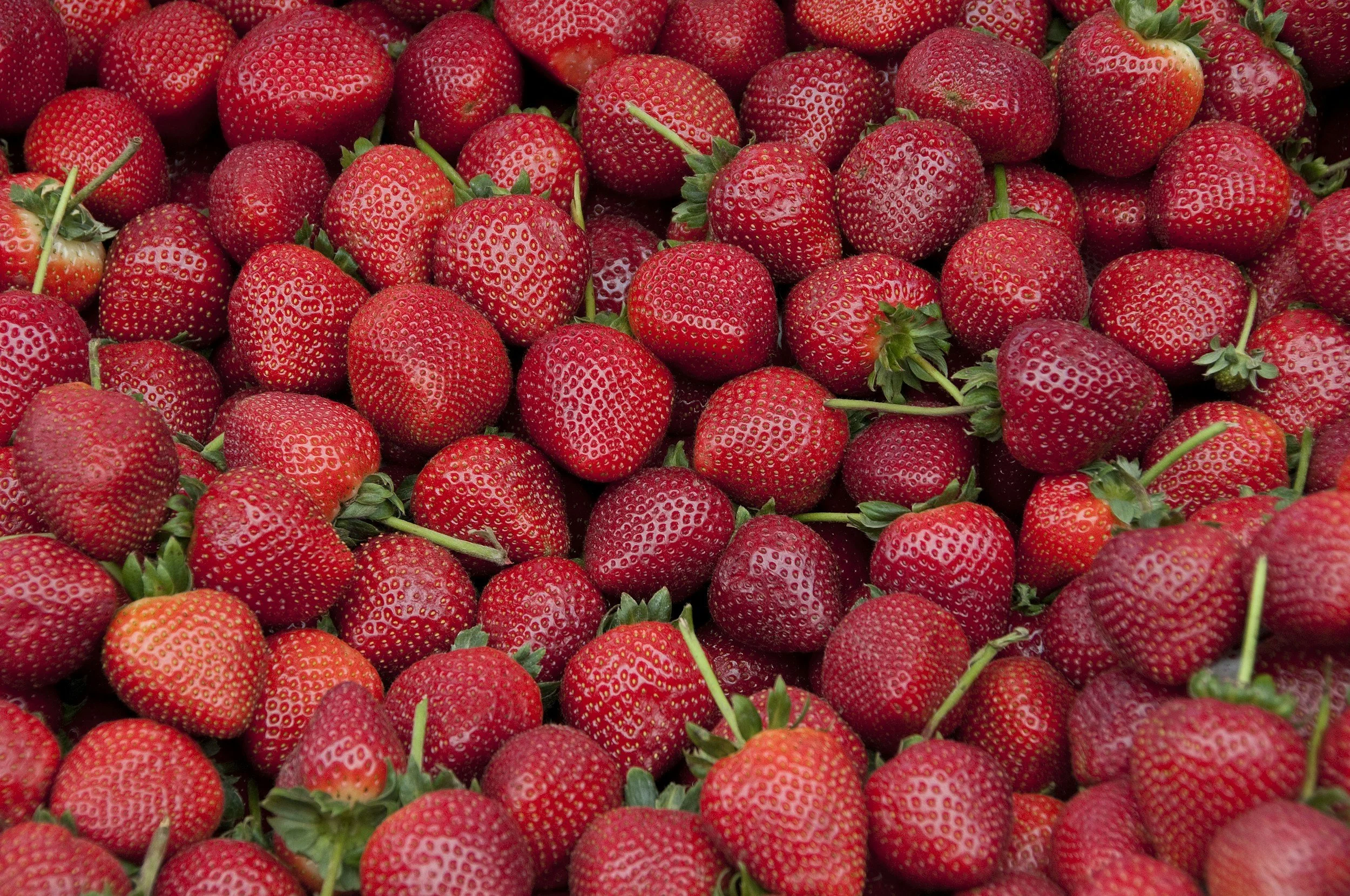 Berries