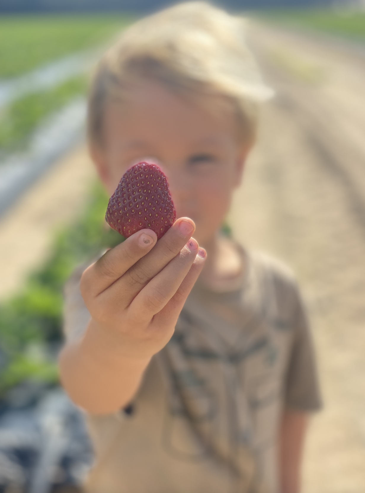 Boy with Strawberry