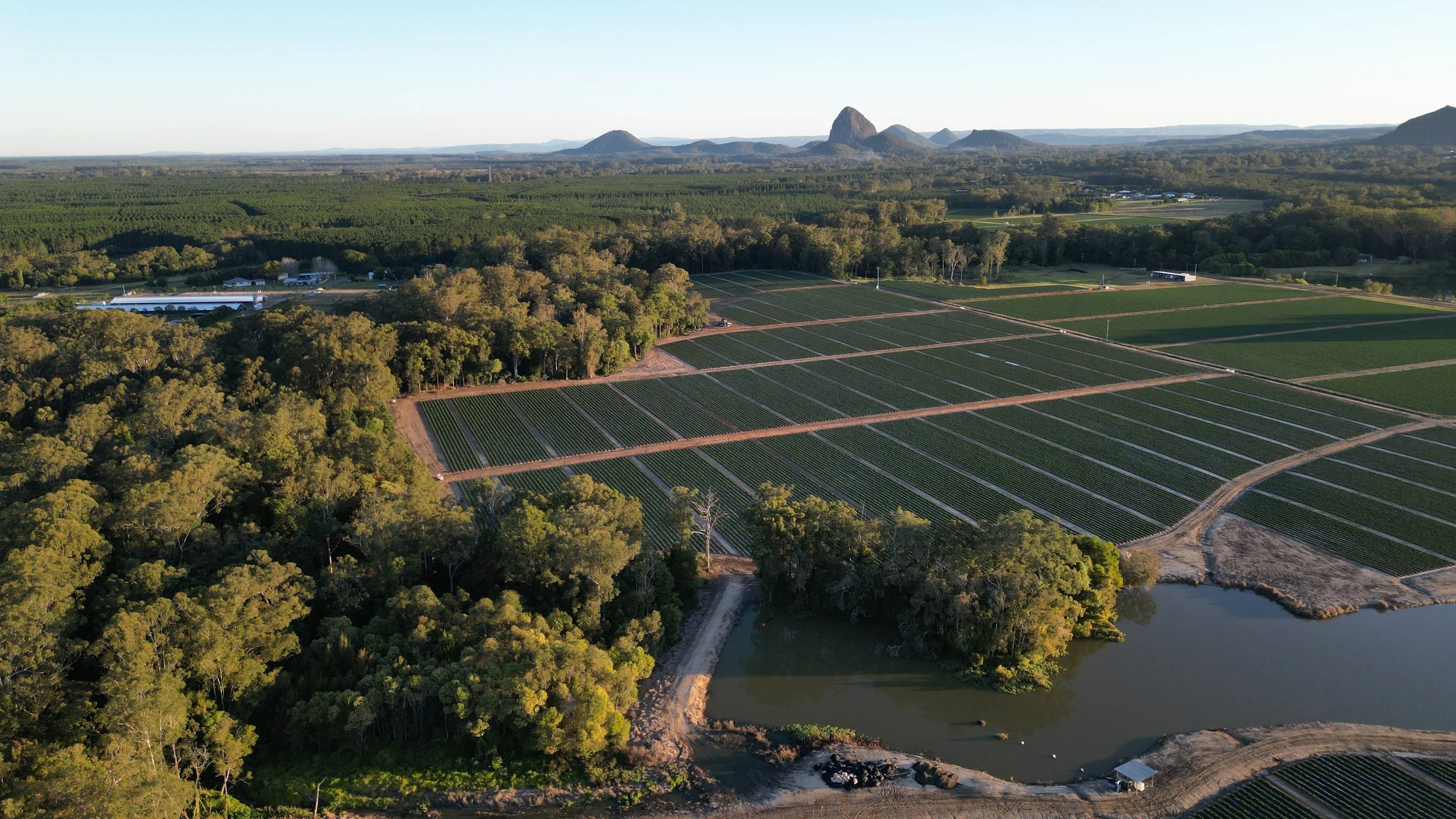 DJI_0397.JPG