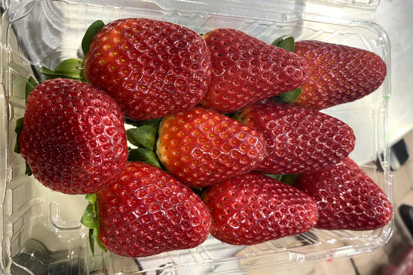 berries.png