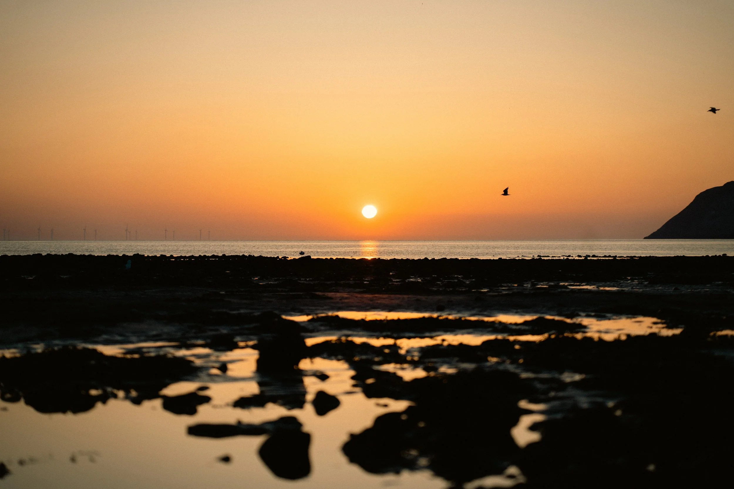Sunset over a body of water with a small boat and birds flying, silhouette of a mountain on the right, and distant wind turbines on the horizon.