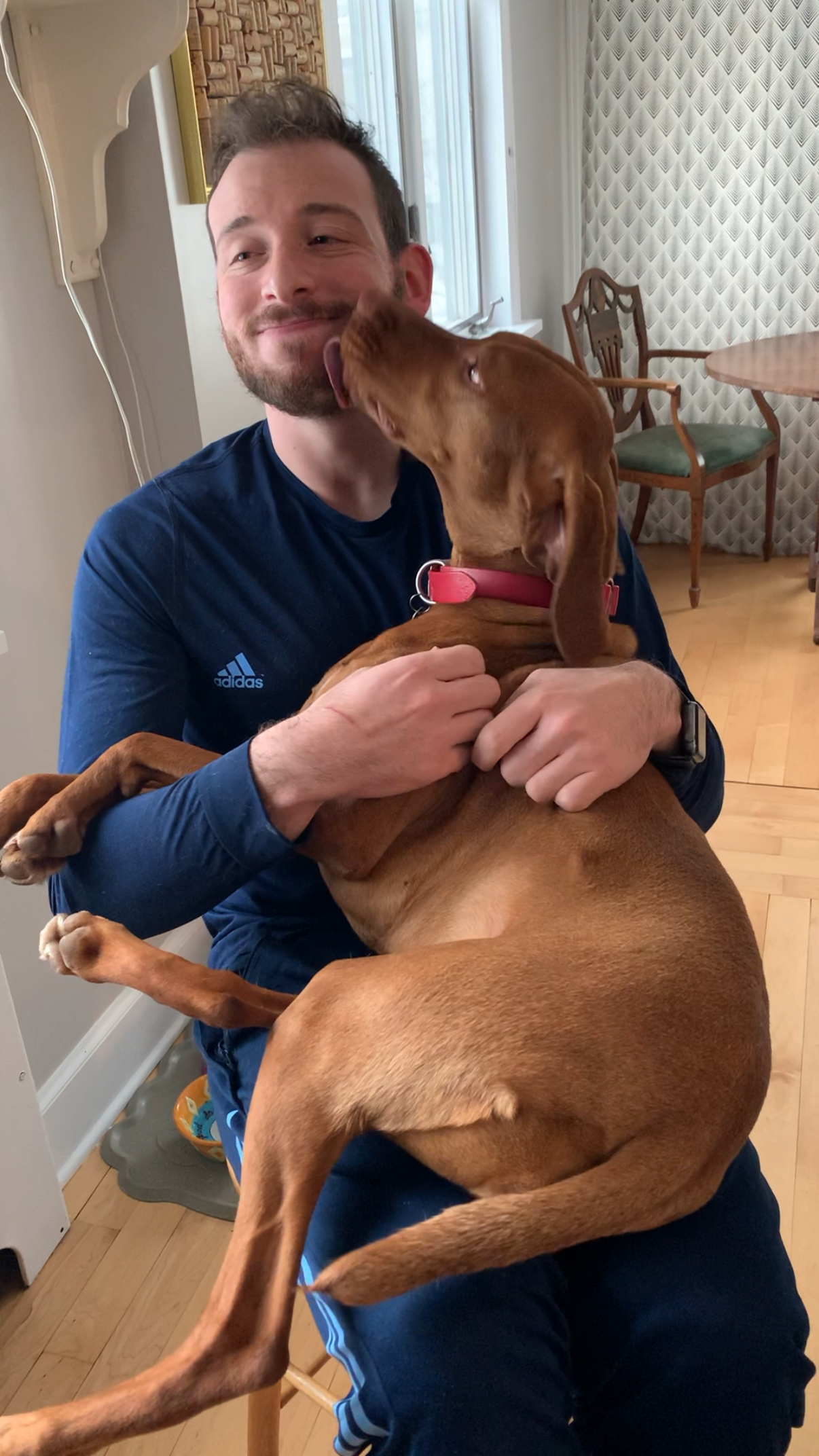 A man with a beard and short dark hair sitting indoors, holding a large brown dog in his lap. The dog is licking the man's face. The background shows a window with curtains, a wooden chair, and part of a table.