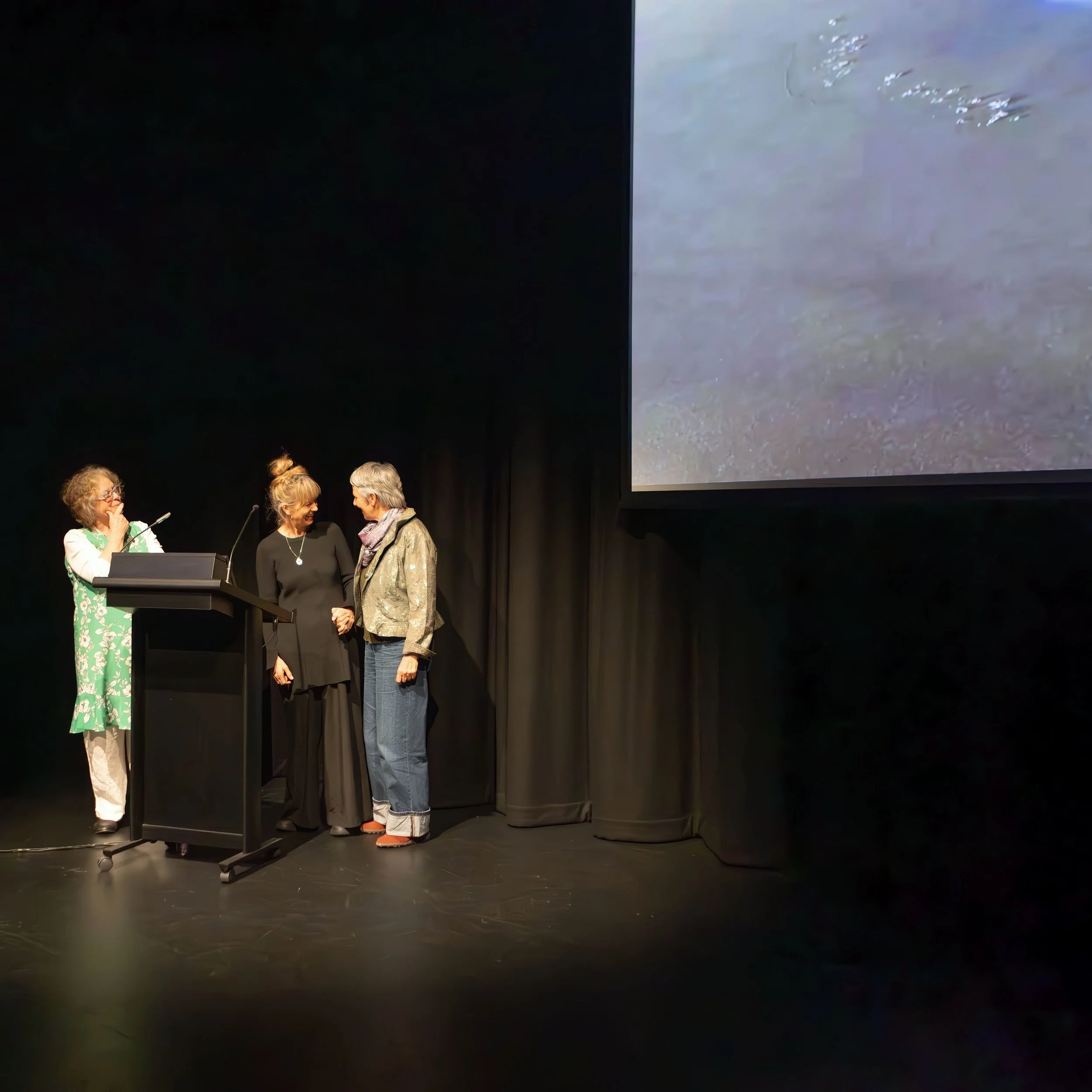 Far south film festival 2025-399.jpg