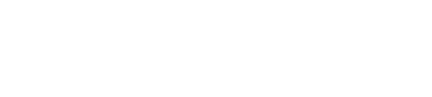 Intronautica