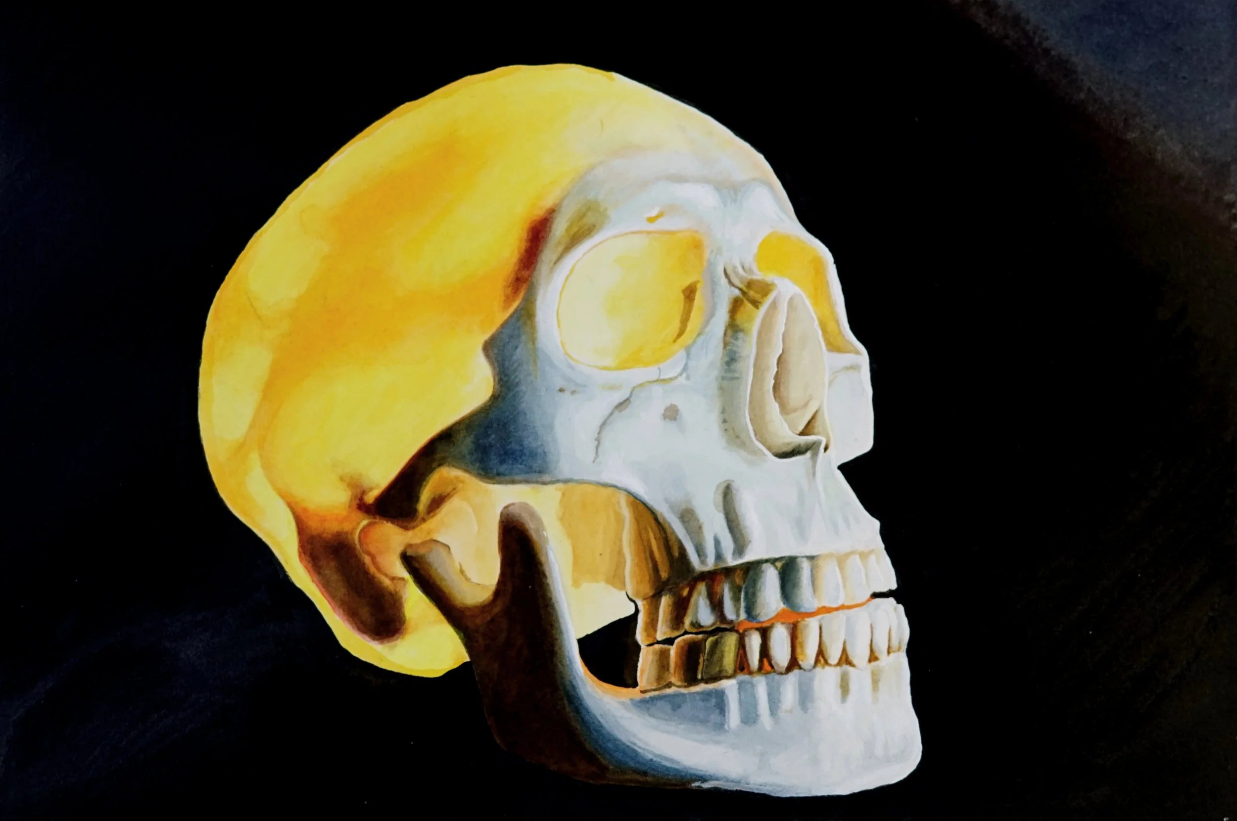 skull.jpg