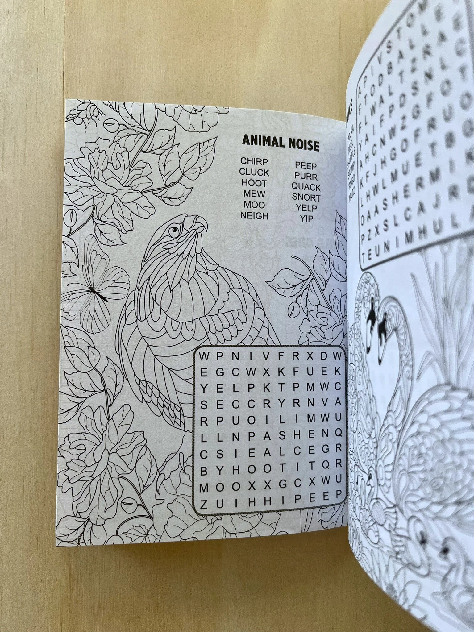 Word Search and Colouring Internal.JPEG