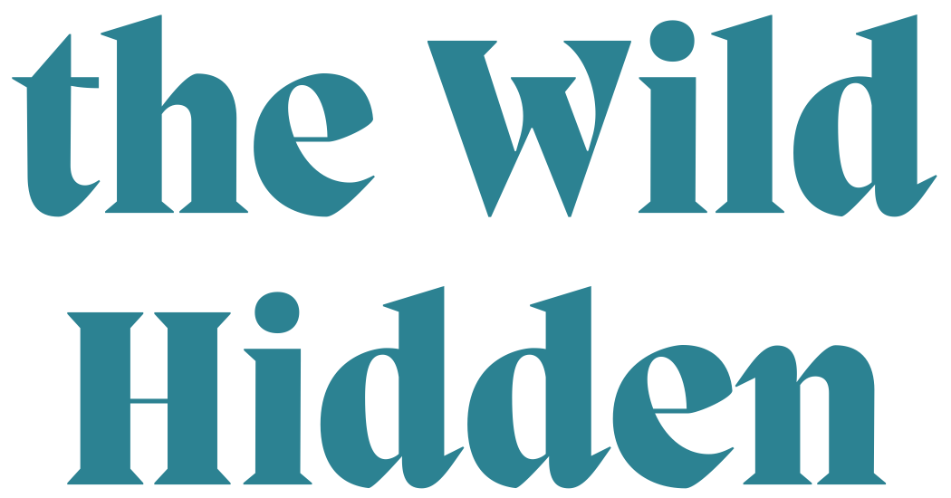 The Wild Hidden