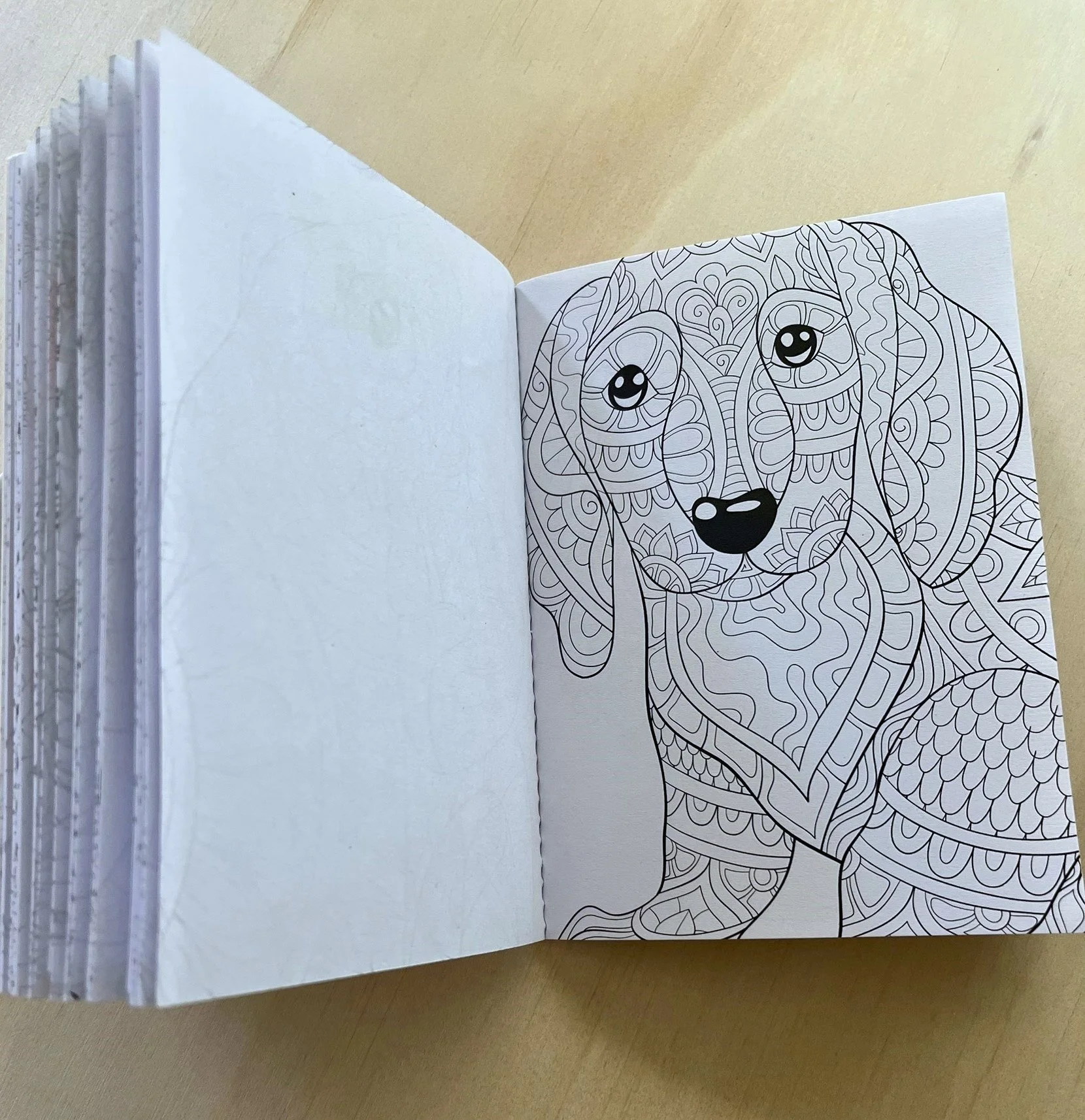 Older colouring book internal image.JPEG